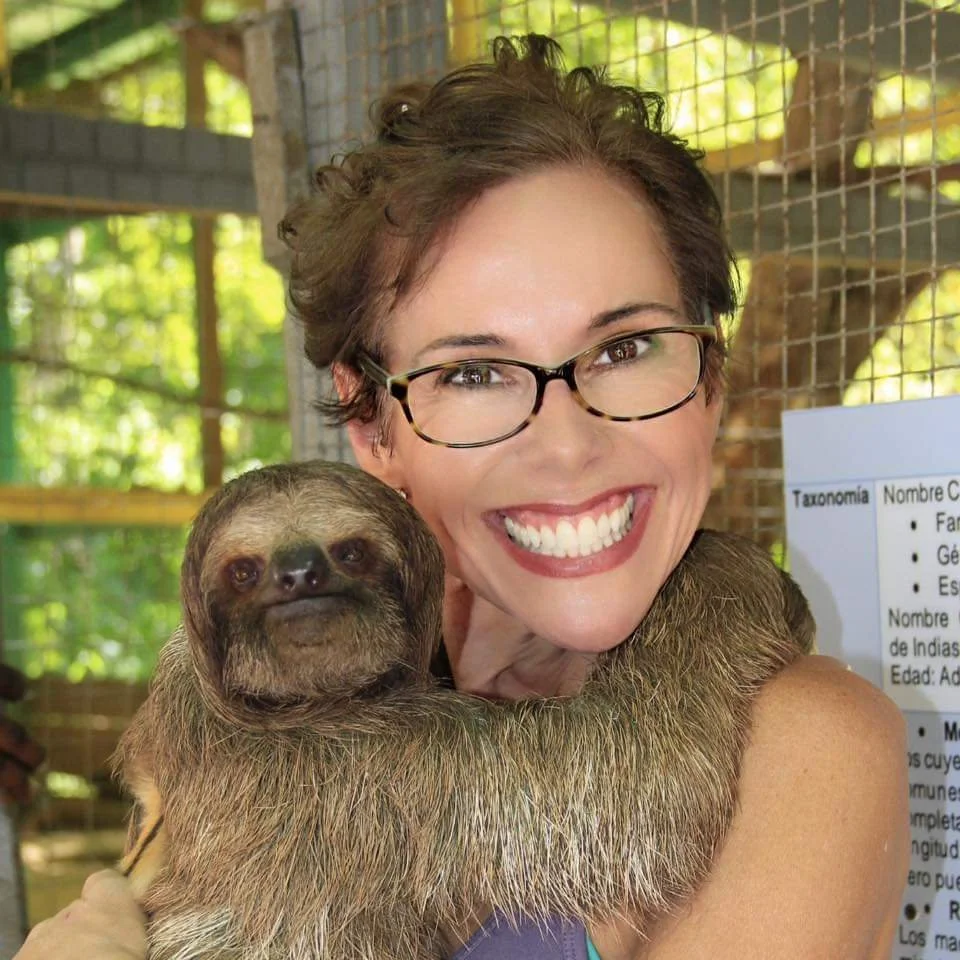 Sloth Hug
