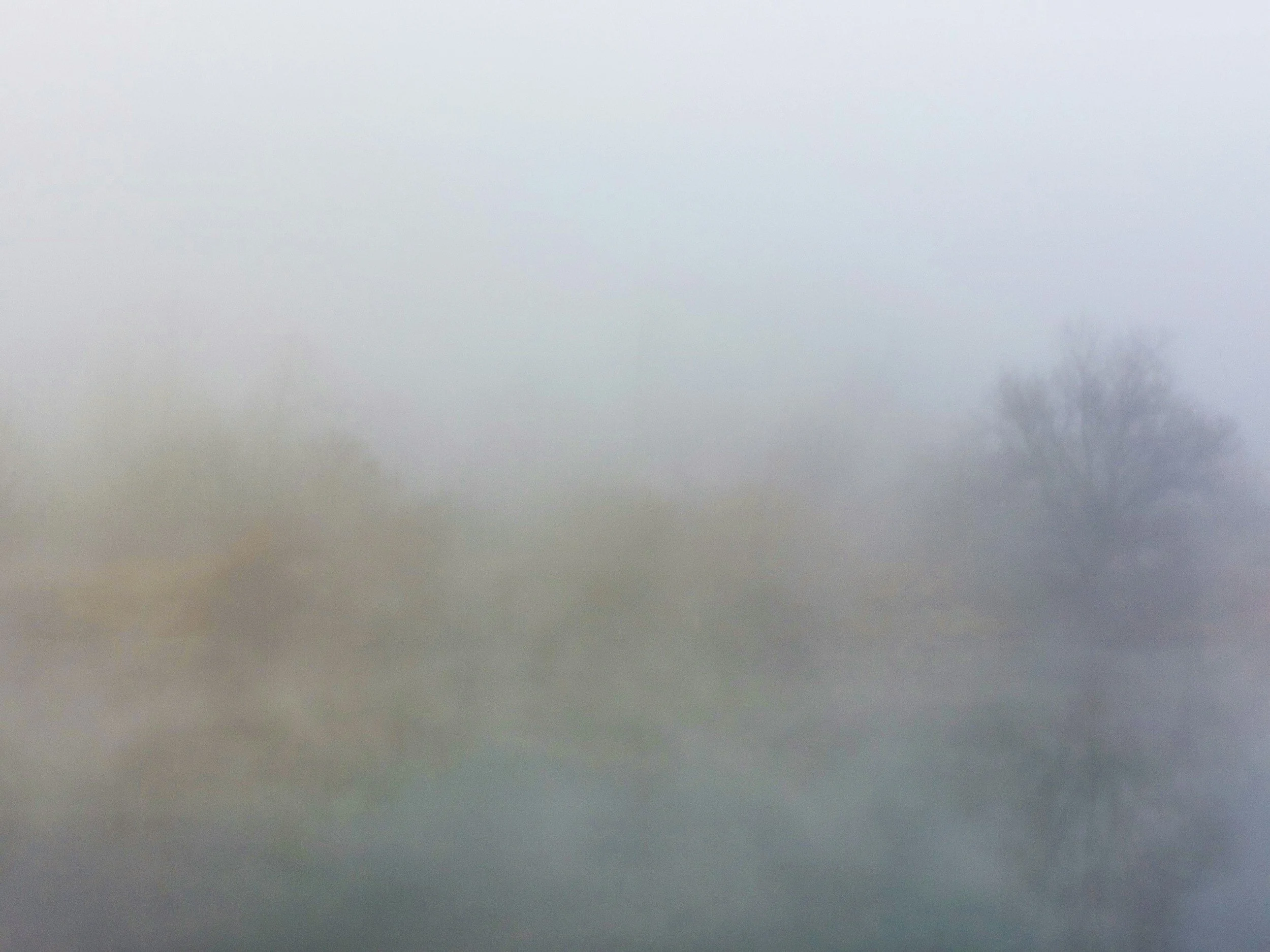 7 Common Causes of Brain Fog and How to improve Brain Fog Naturally