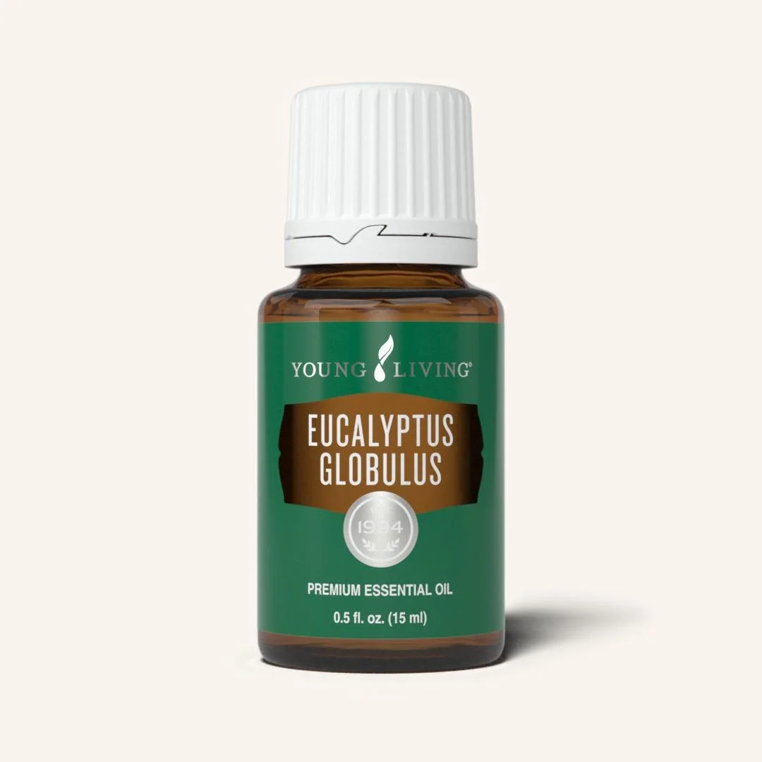 Young Living Eucalyptus Globulus Essential Oil