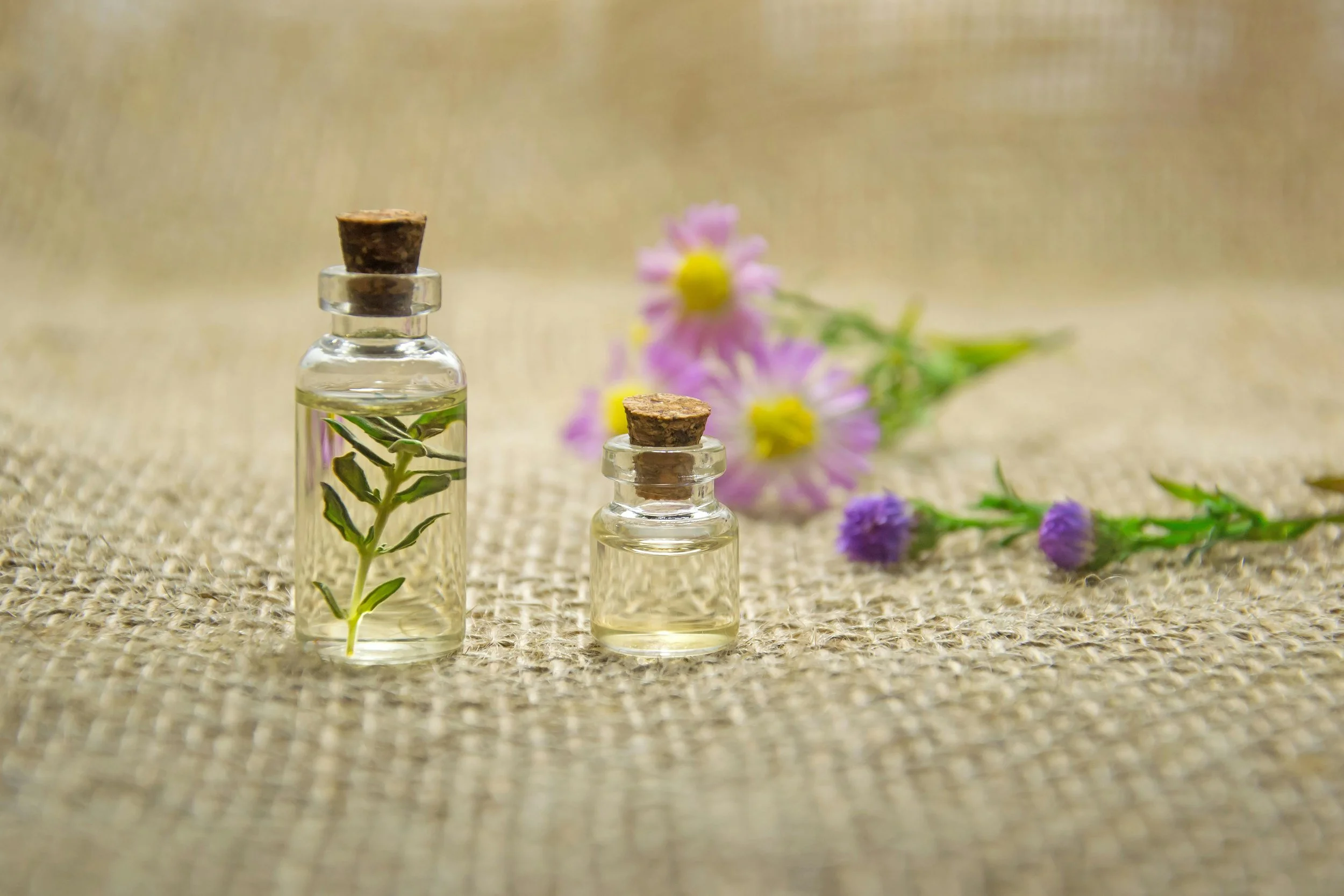 Your Guide To Essential Oils 