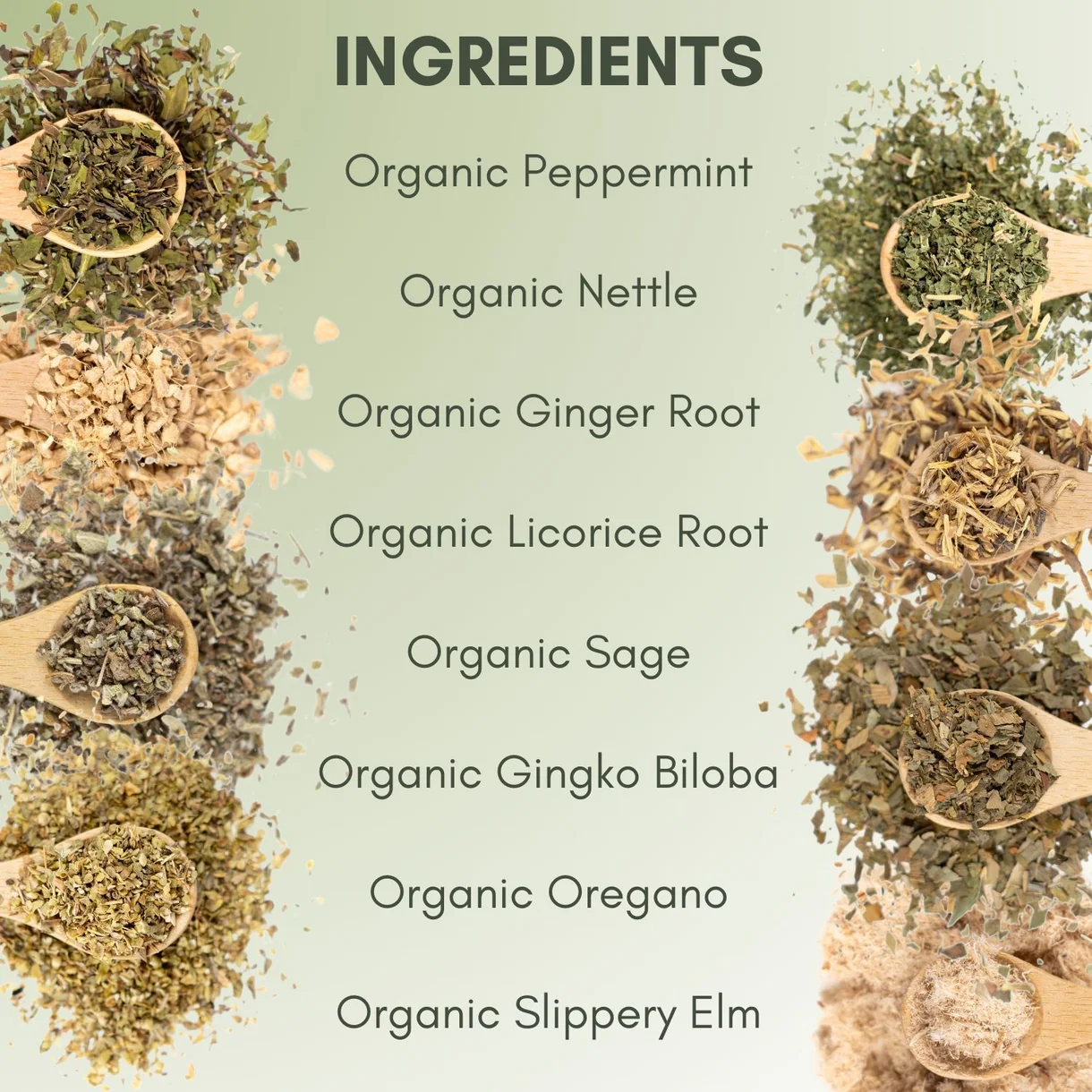 FLTC Organic Allergy Relief Ingredients copy.png