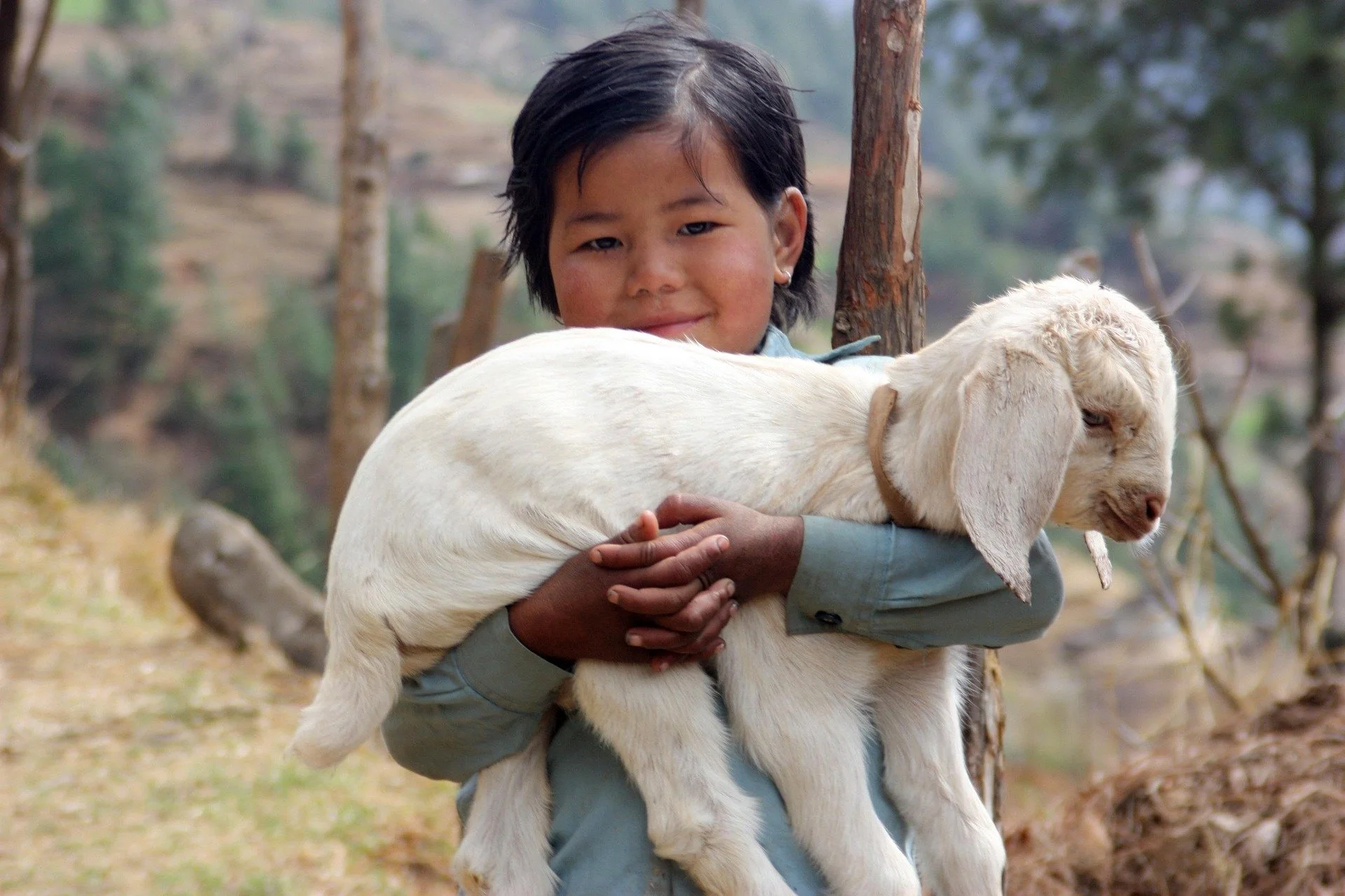 Une jeune fille souriante tient un chevreau blanc dans ses bras en plein air, avec des arbres en arrière-plan.