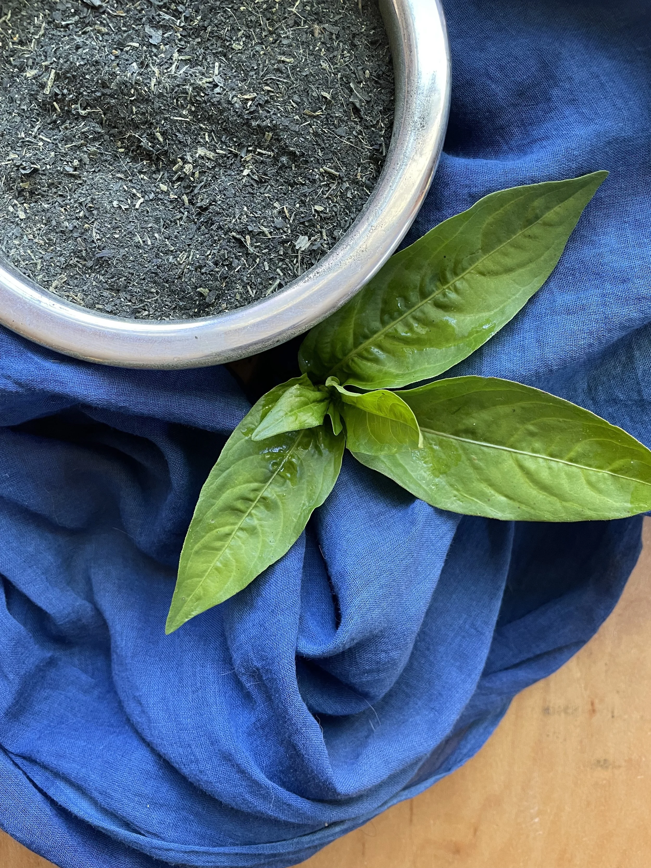 Organic Indigo Dyeing Workshop - Dried Leaf Vat Method for Small Scale Growers
