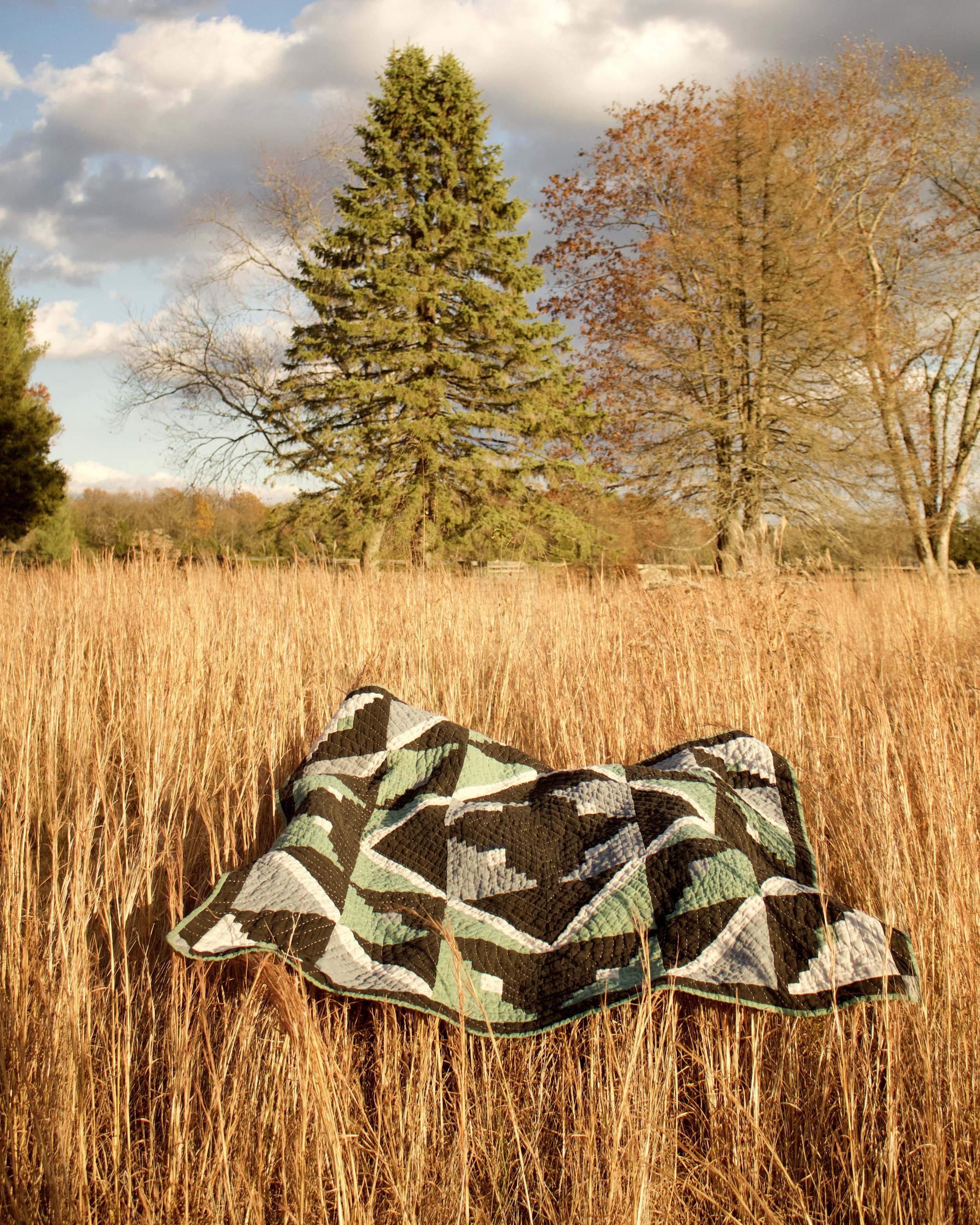 sage in grass.jpg