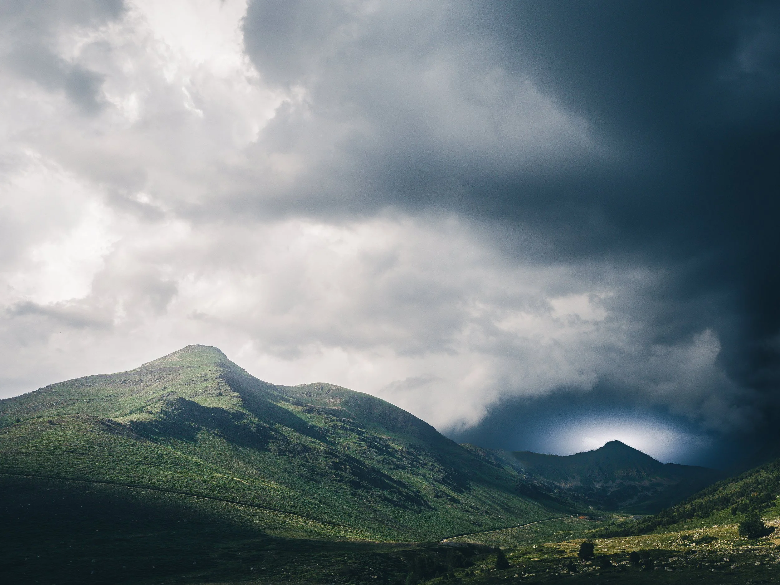 "Intelligence d'ailleurs"