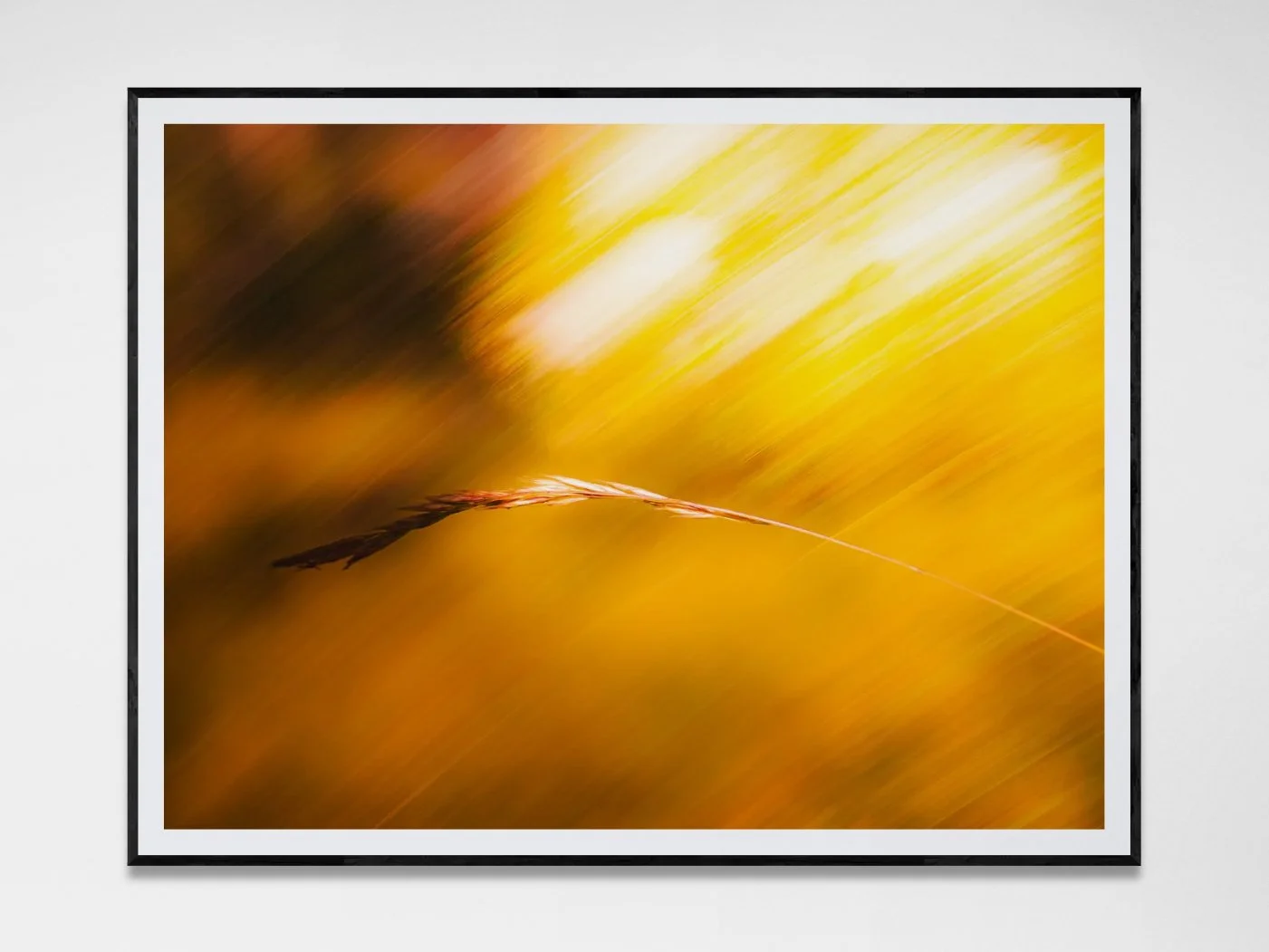 Photo avec cadre 32.jpg