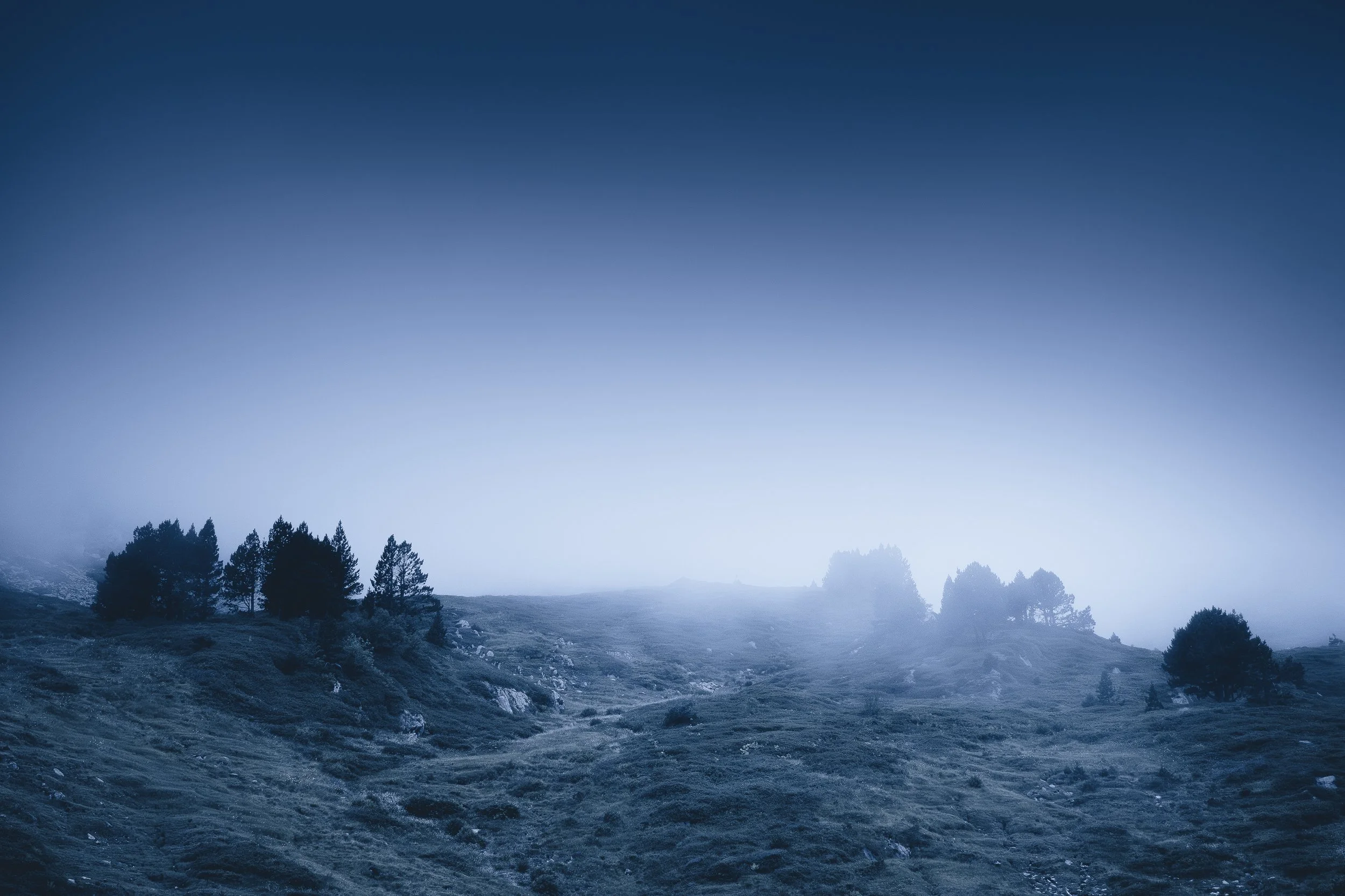 Photo pour le site-7.jpg
