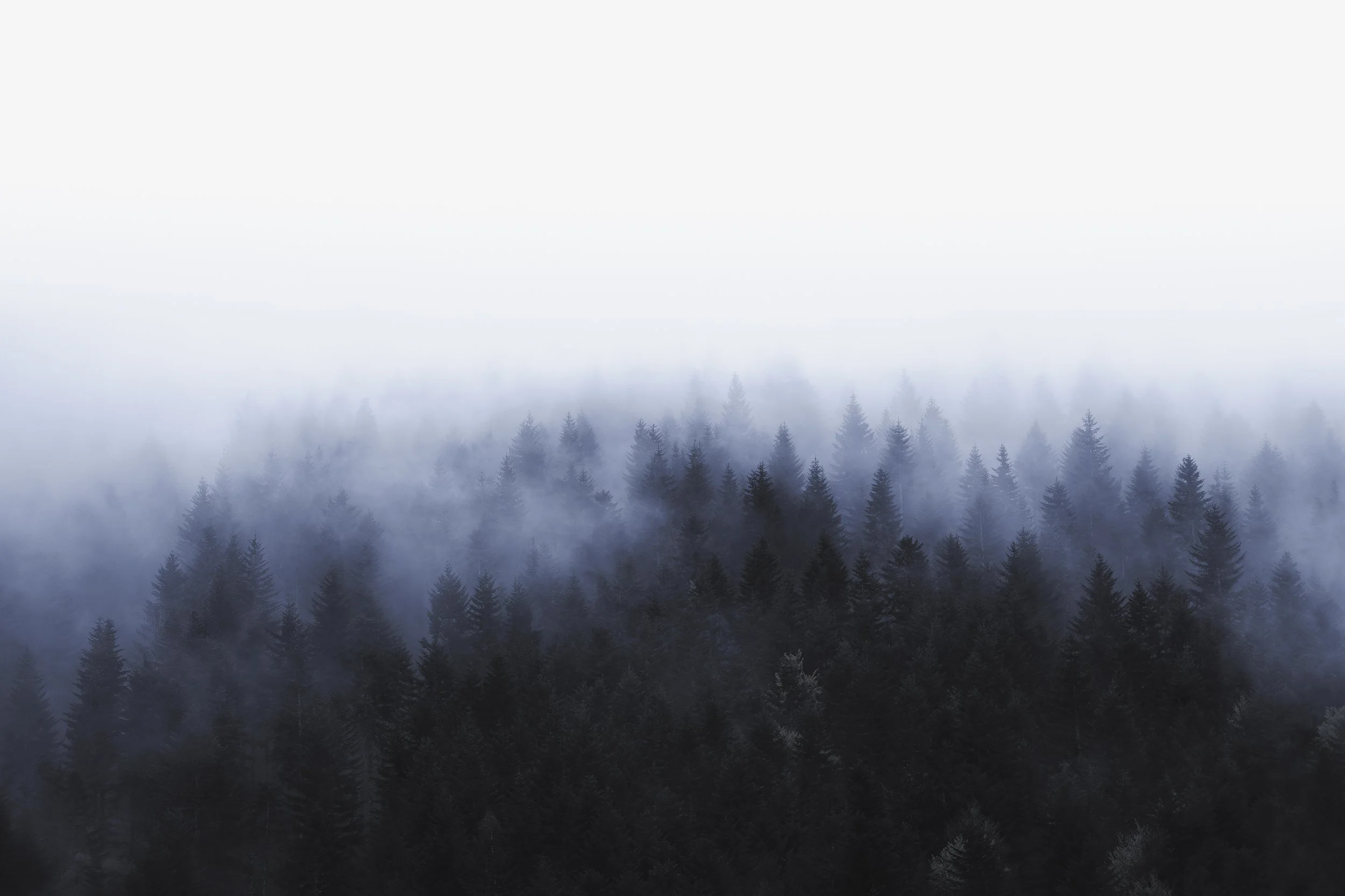 Photo pour le site-48.jpg