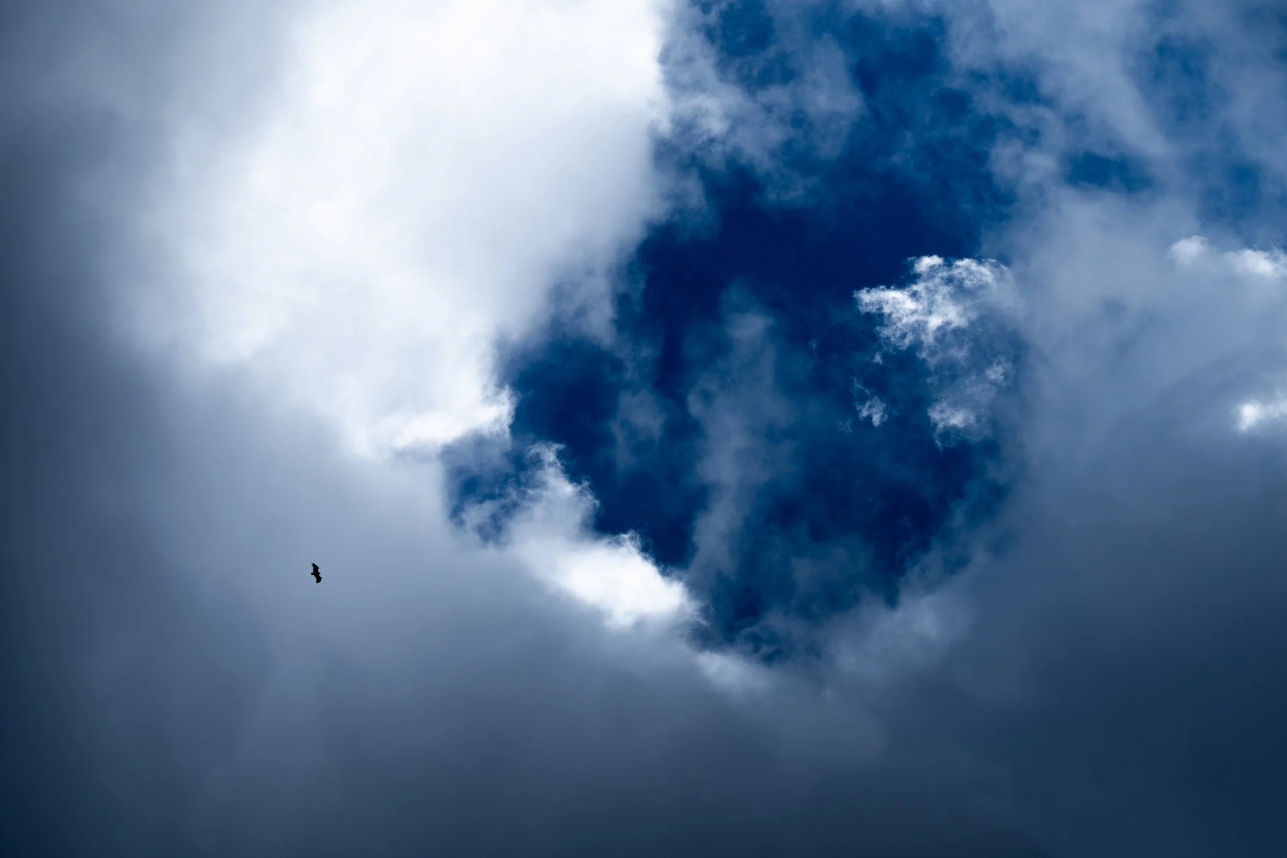 Photo pour le site-53.jpg
