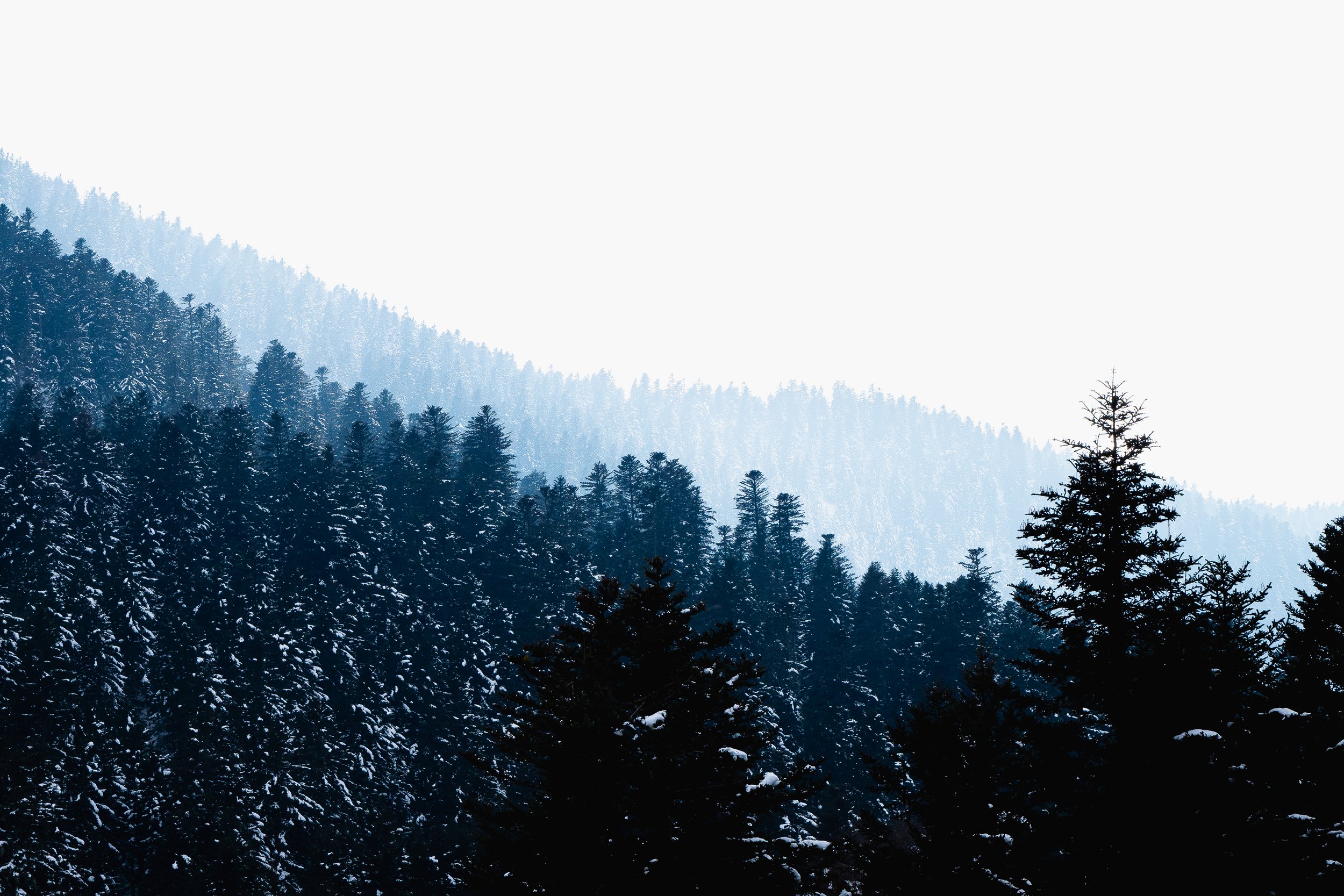 Photo pour le site-57.jpg