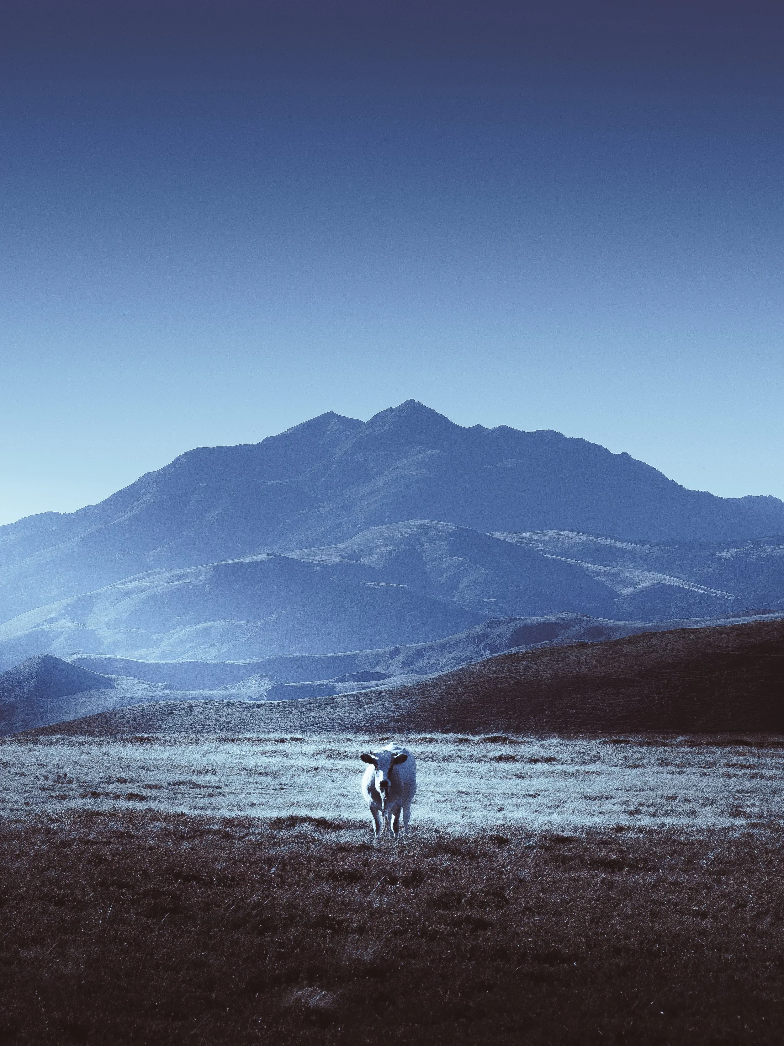 Photo pour le site-28.jpg