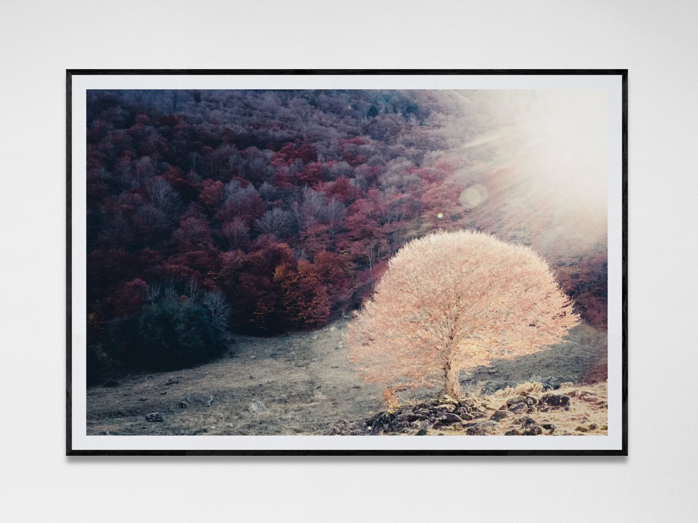 Photo avec cadre 1.jpg