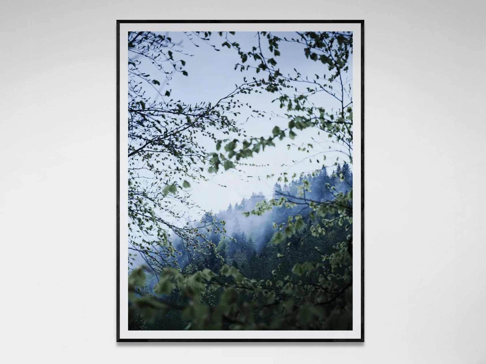 Photo avec cadre 7.jpg