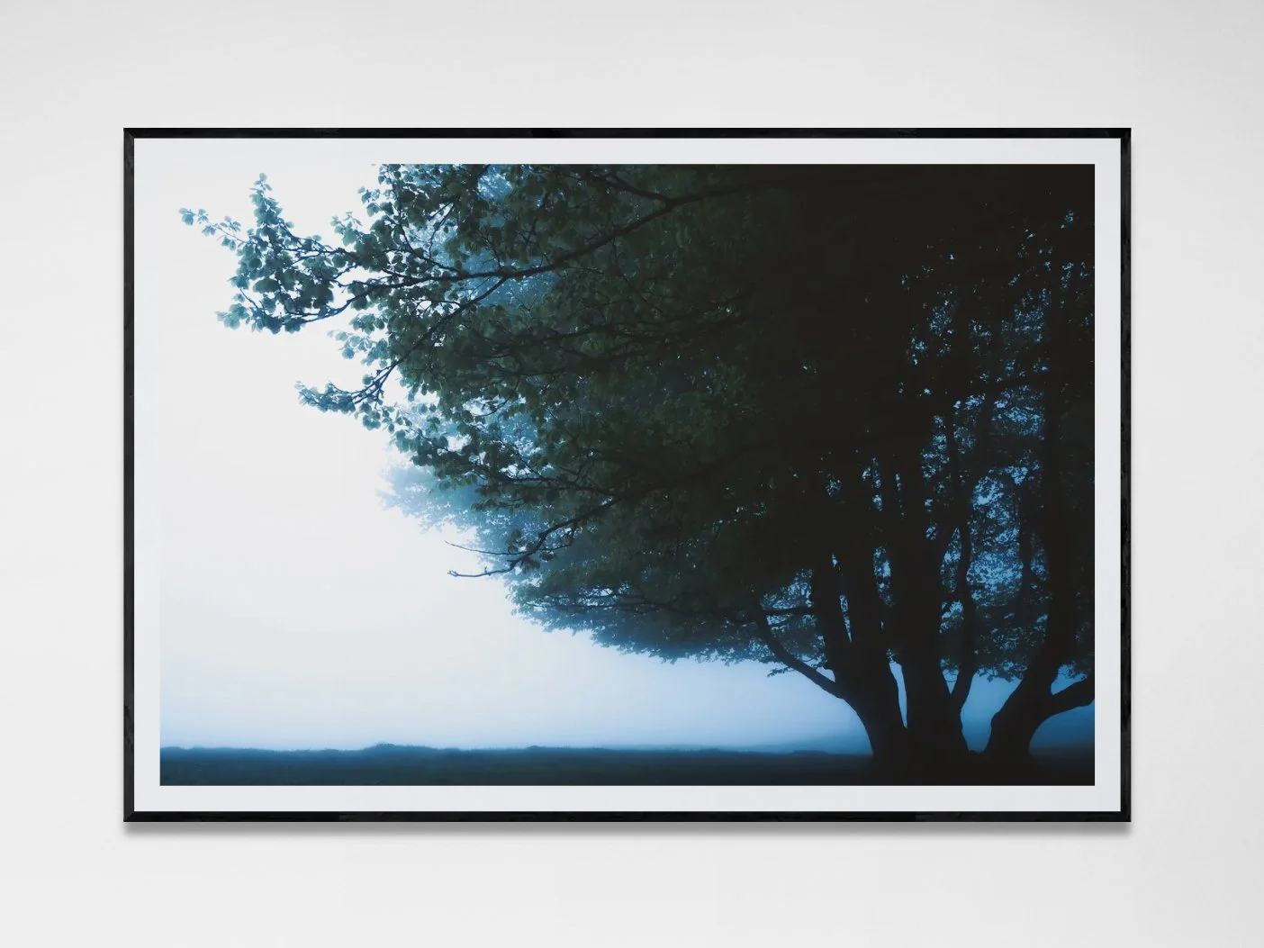 Photo avec cadre 16.jpg