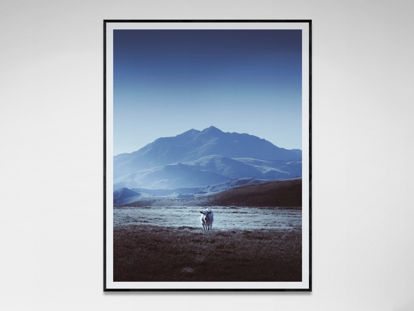 Photo avec cadre 2.jpg