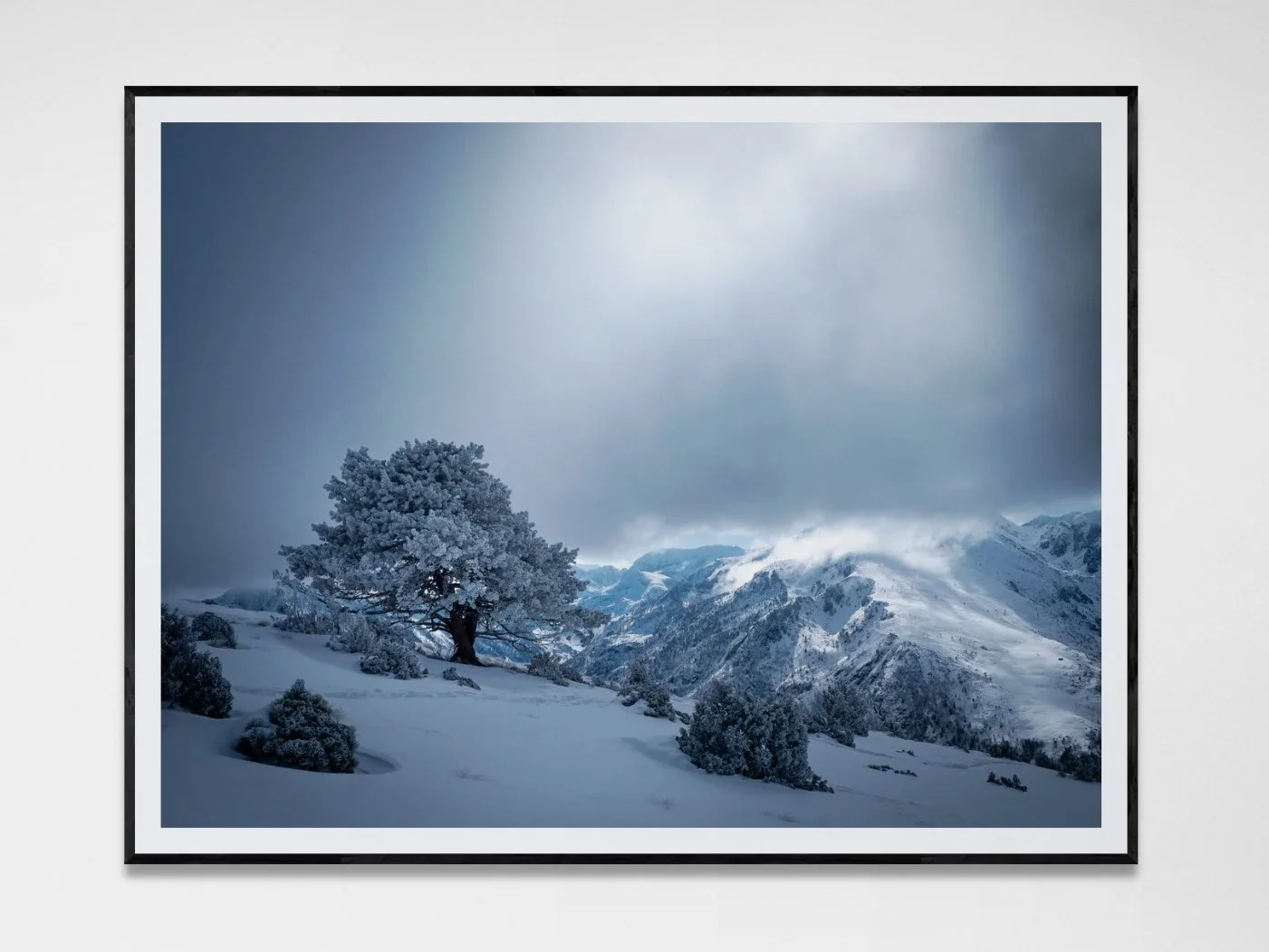 Photo avec cadre 57.jpg