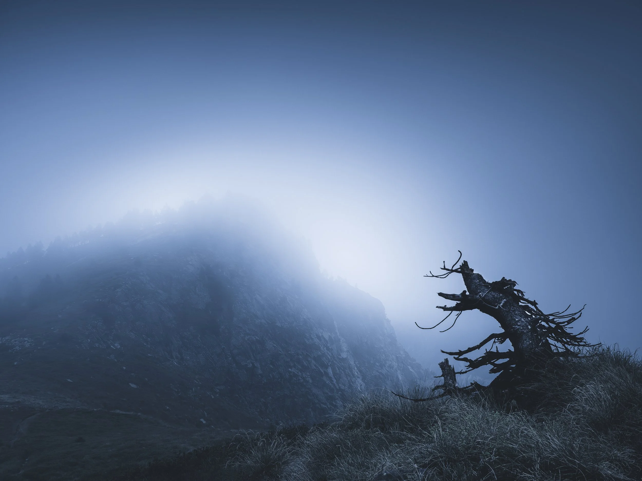 Un arbre mort penché dans un paysage de montagne brumeux, avec un ciel bleu foncé.