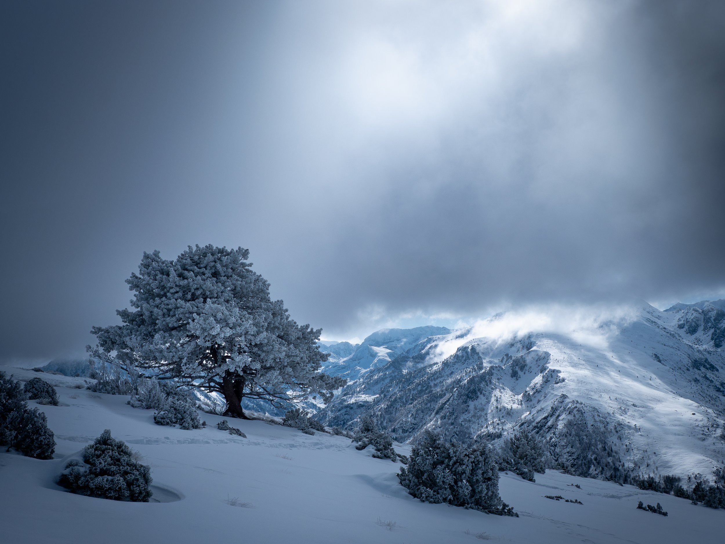 "Paysage glacé"