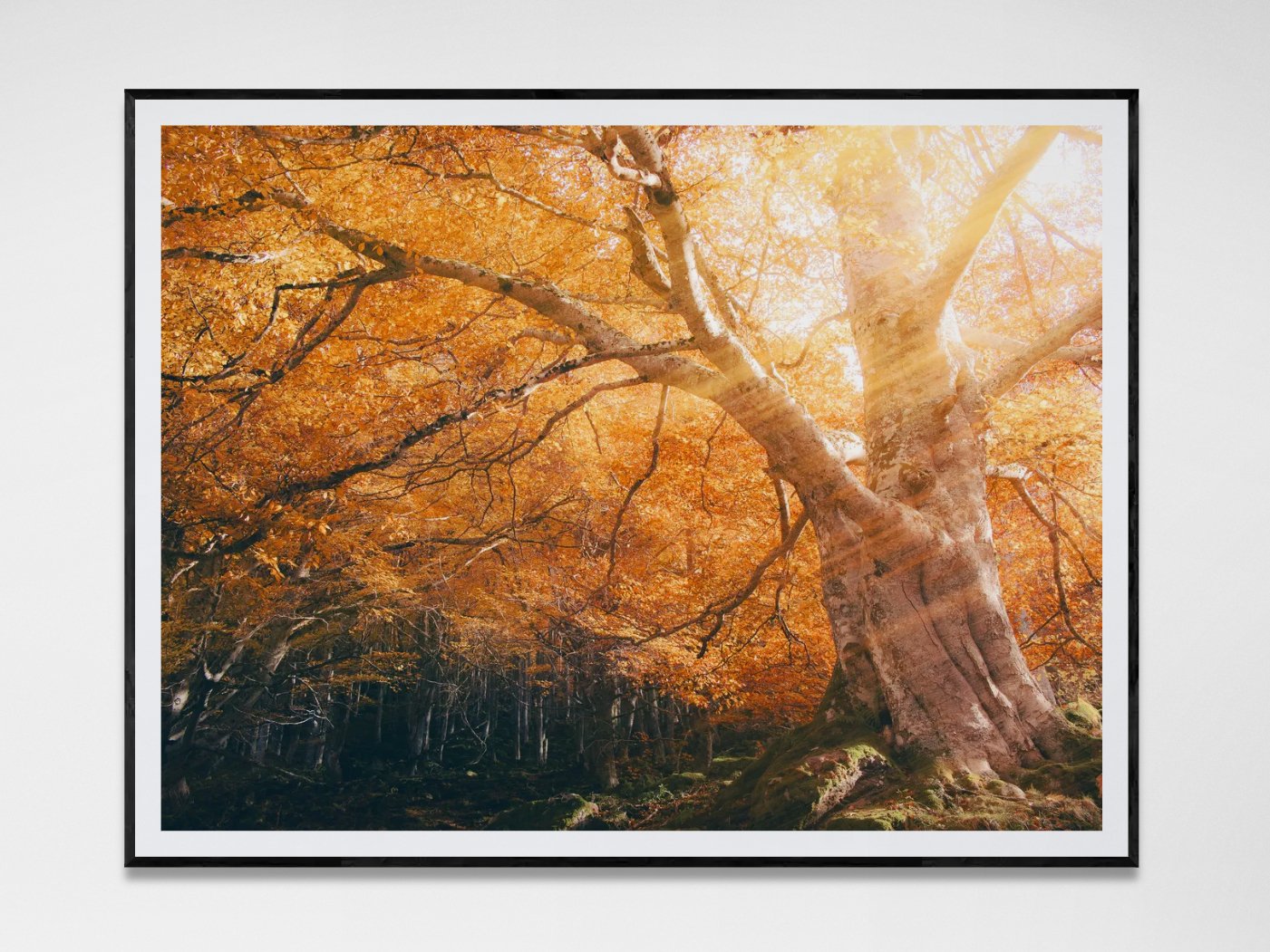 Photo avec cadre 25.jpg