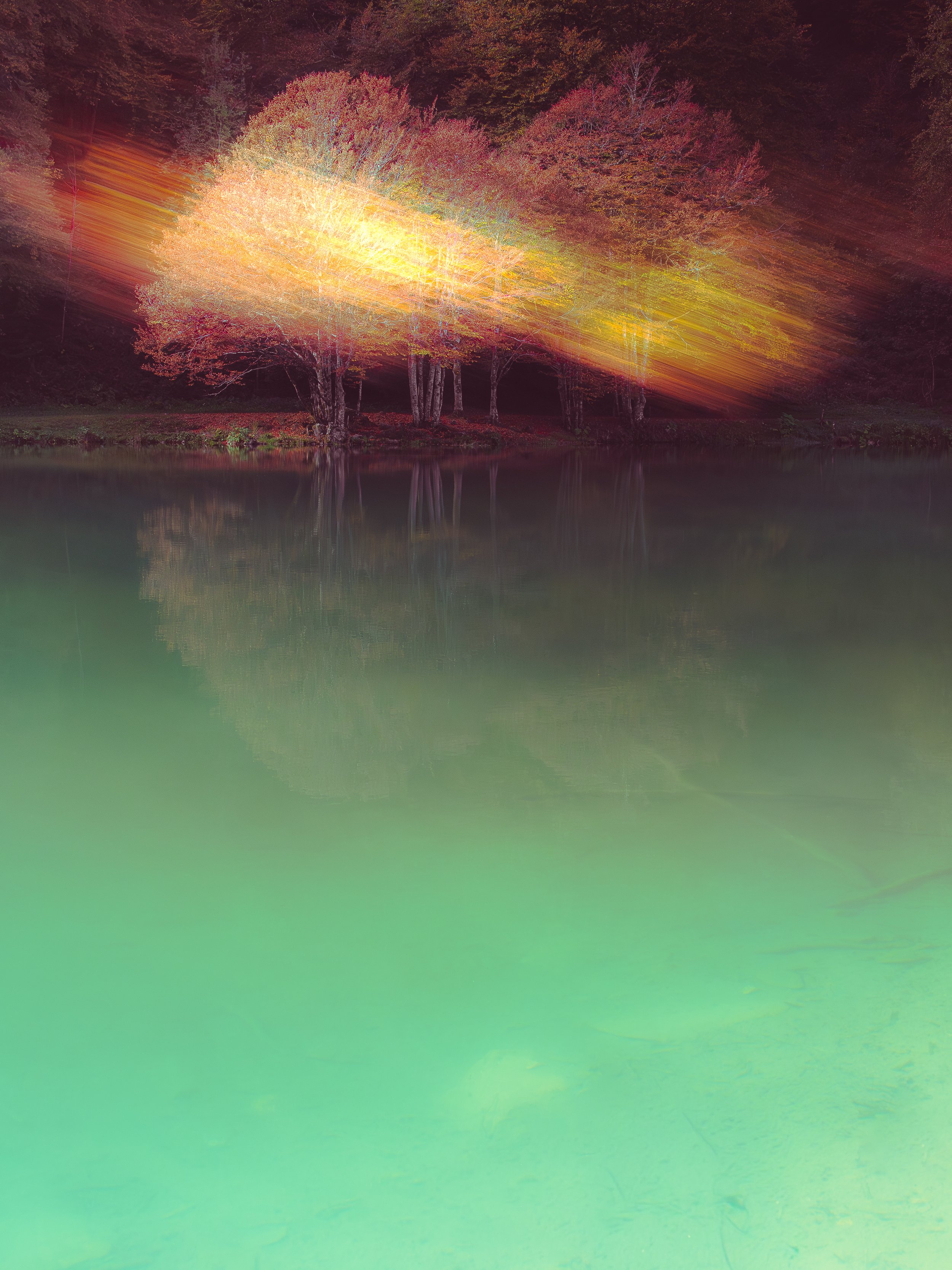 Paysage avec arbres colorés au bord de l'eau, reflet dans l'eau, et un effet artistique lumineux