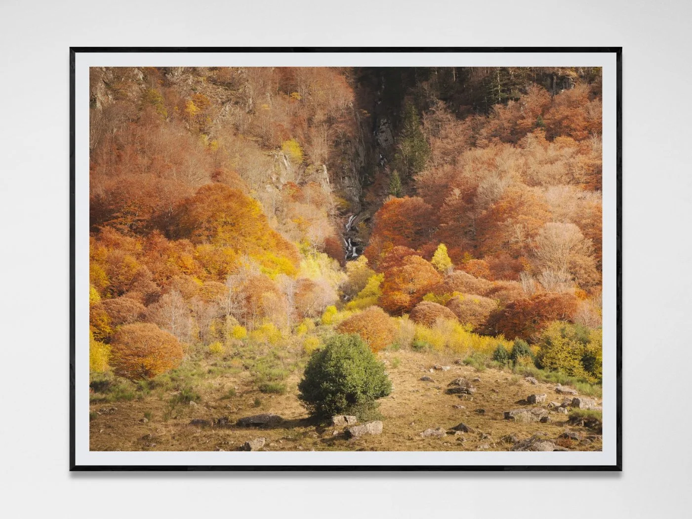 Photo avec cadre 23.jpg