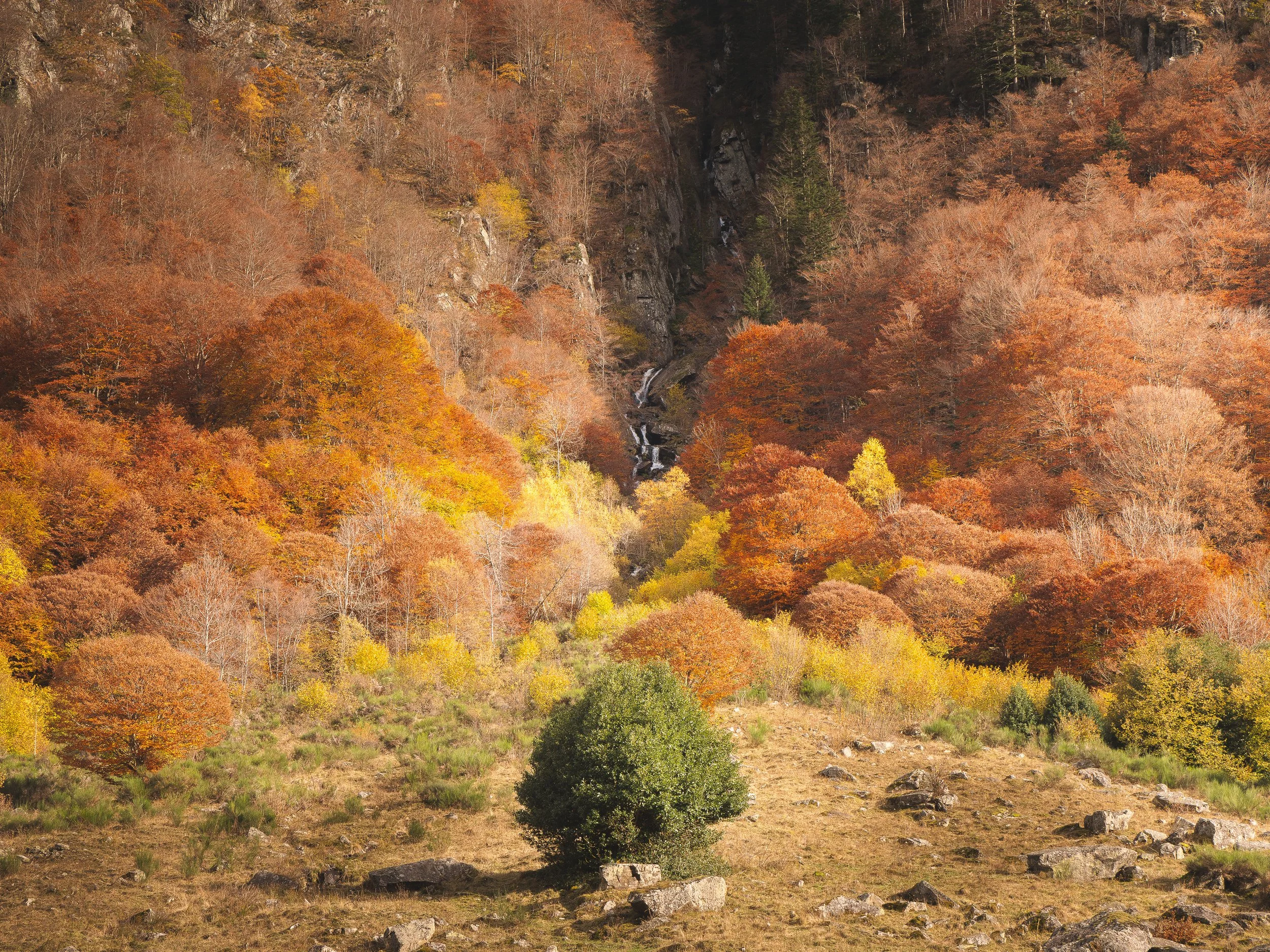 Paysage de montagne avec forêt aux couleurs automnales, cascades au centre, et terrain rocheux devant.