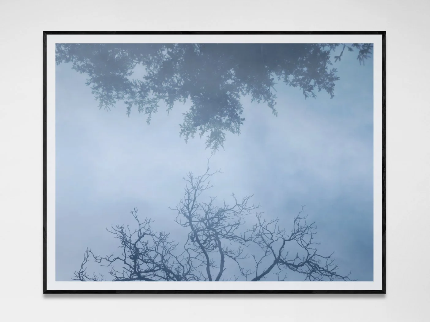 Photo avec cadre 21.jpg