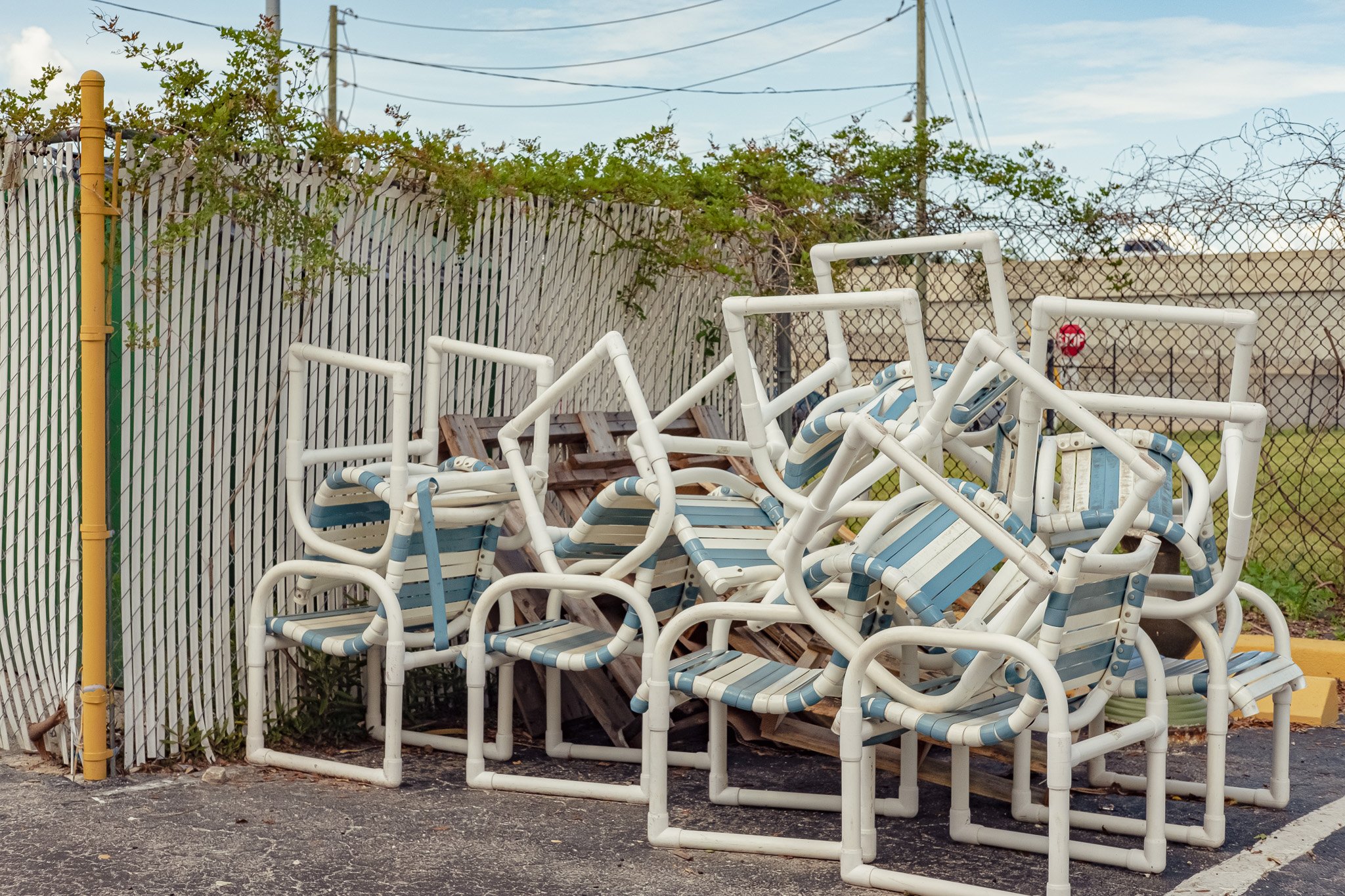 selected images from my current project