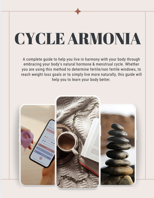 Cycle Armonia Workbook