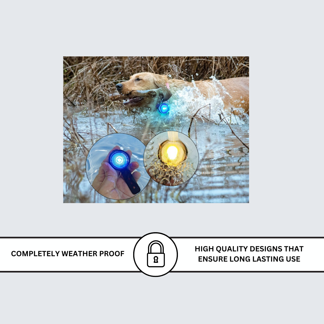 Add a subheading (72).png