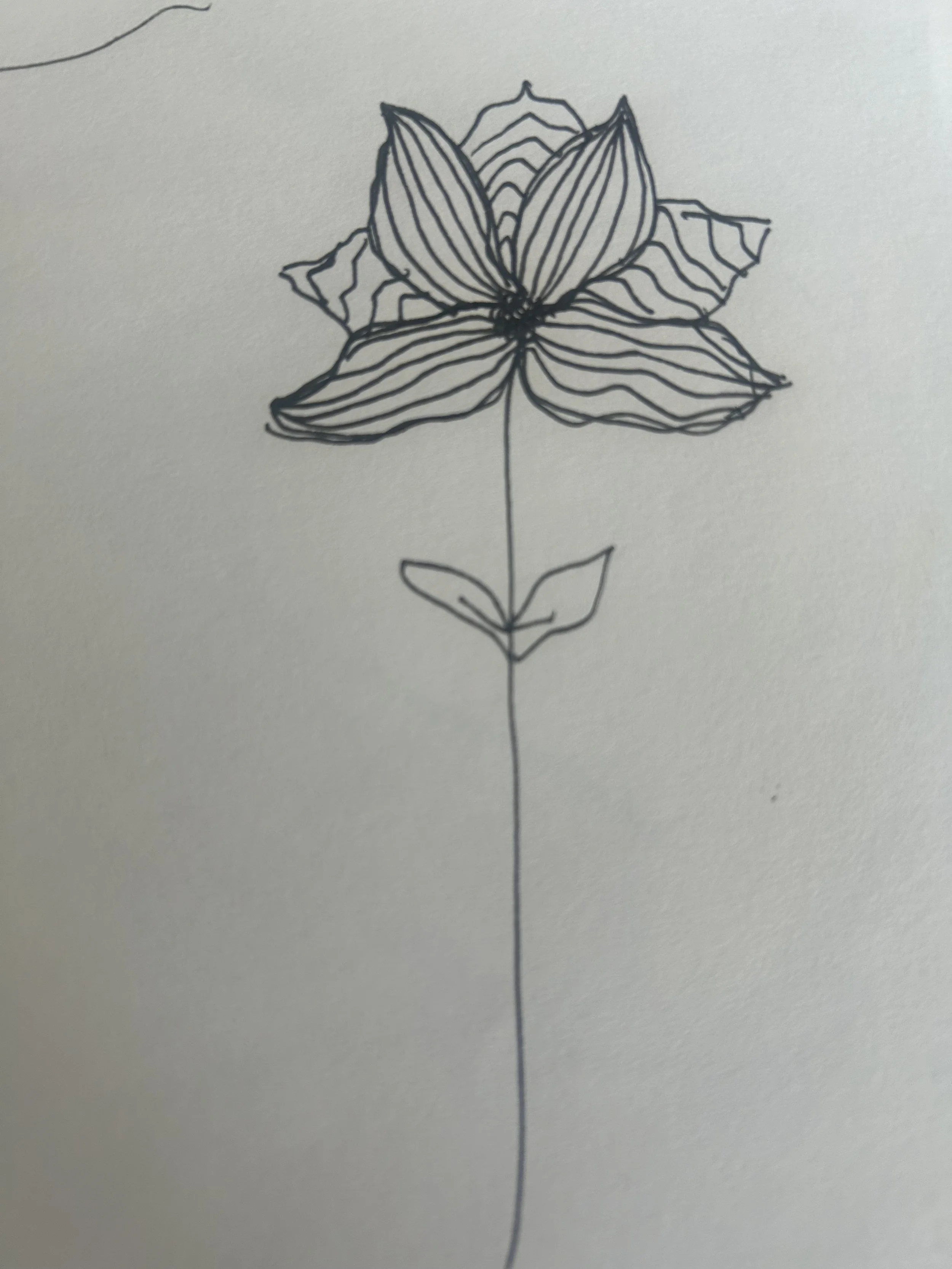 doodle 3.jpg