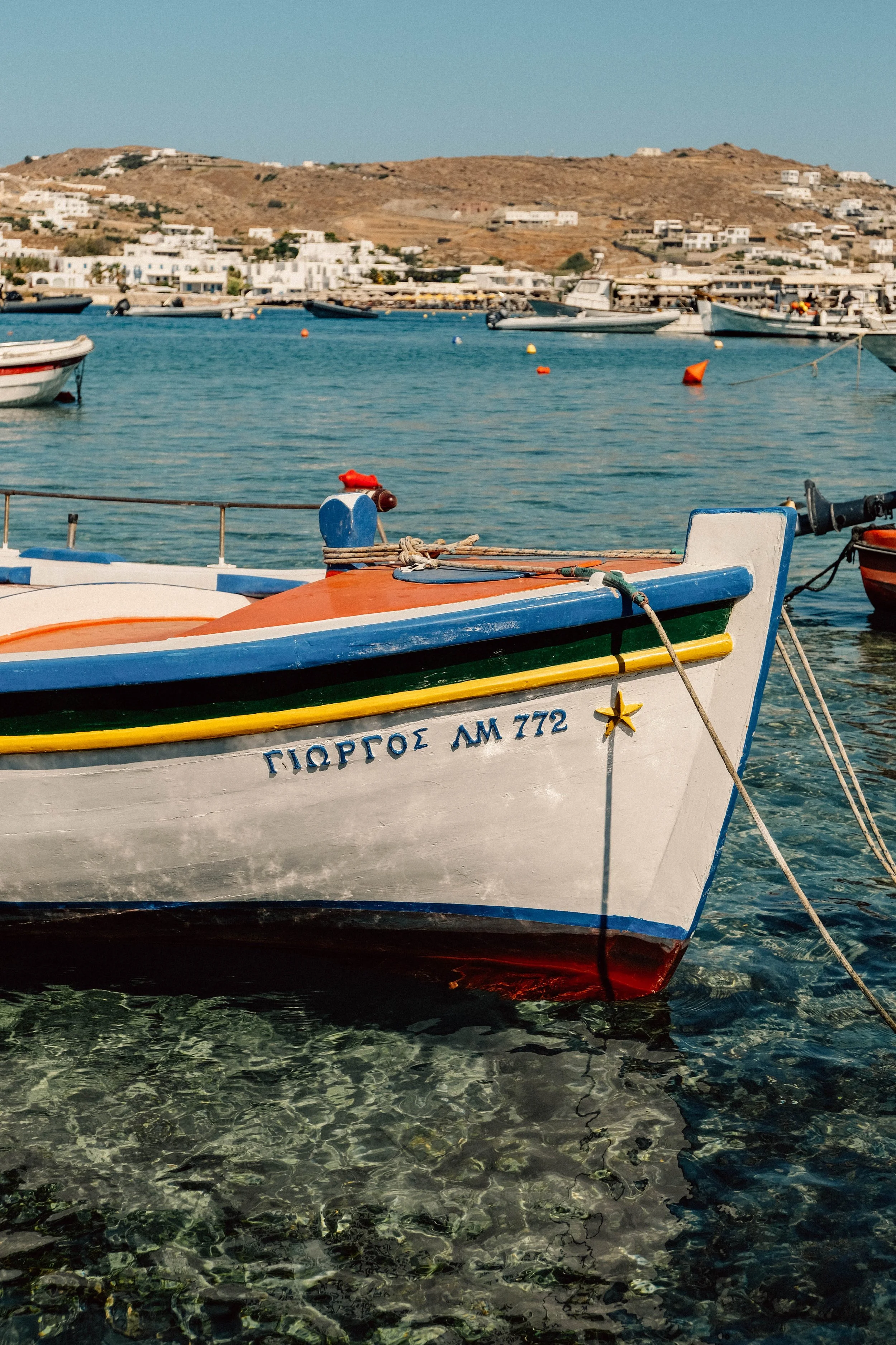 FSMYK_020.jpg