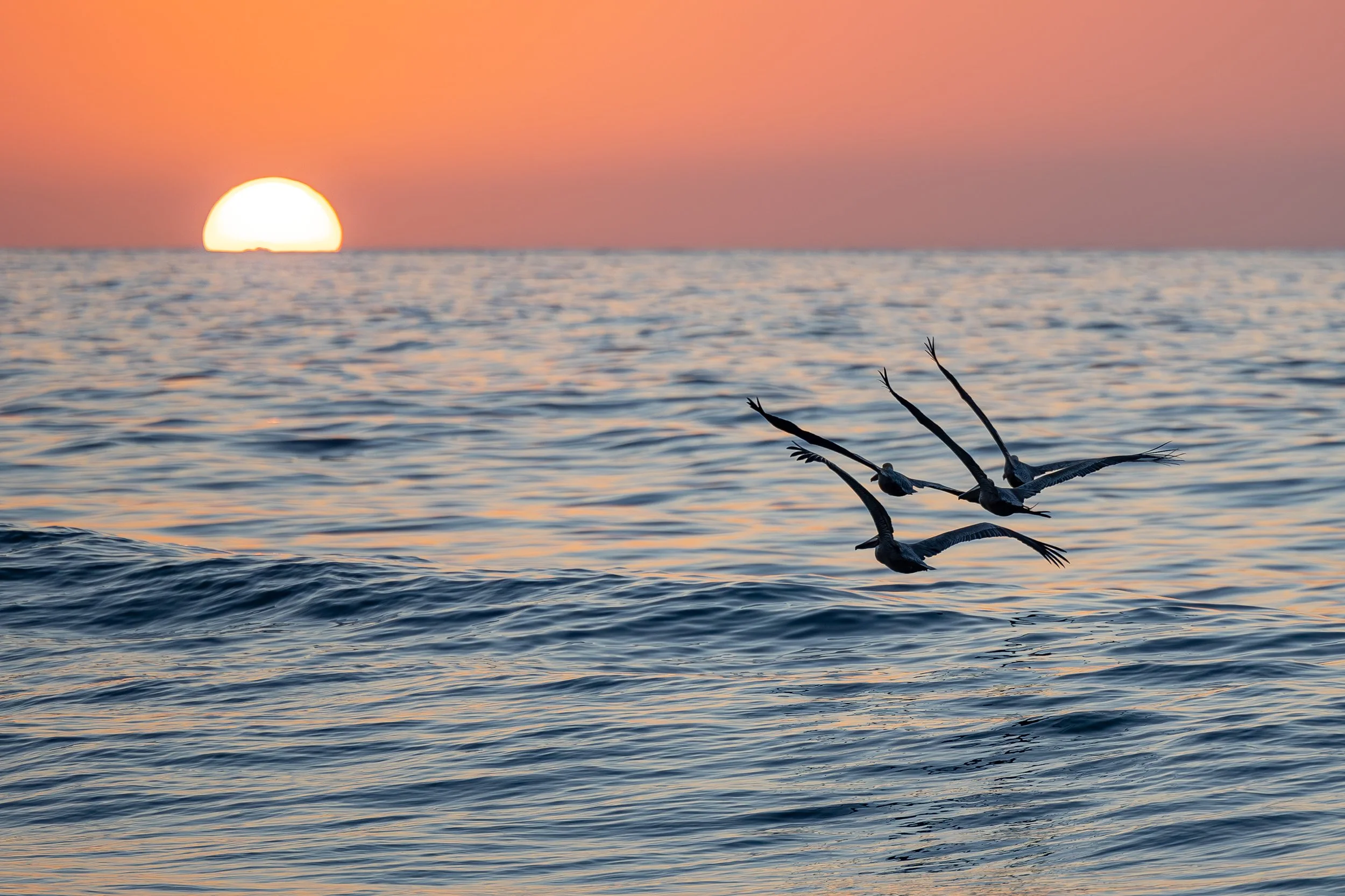 San Pancho, Nayarit, Mexico