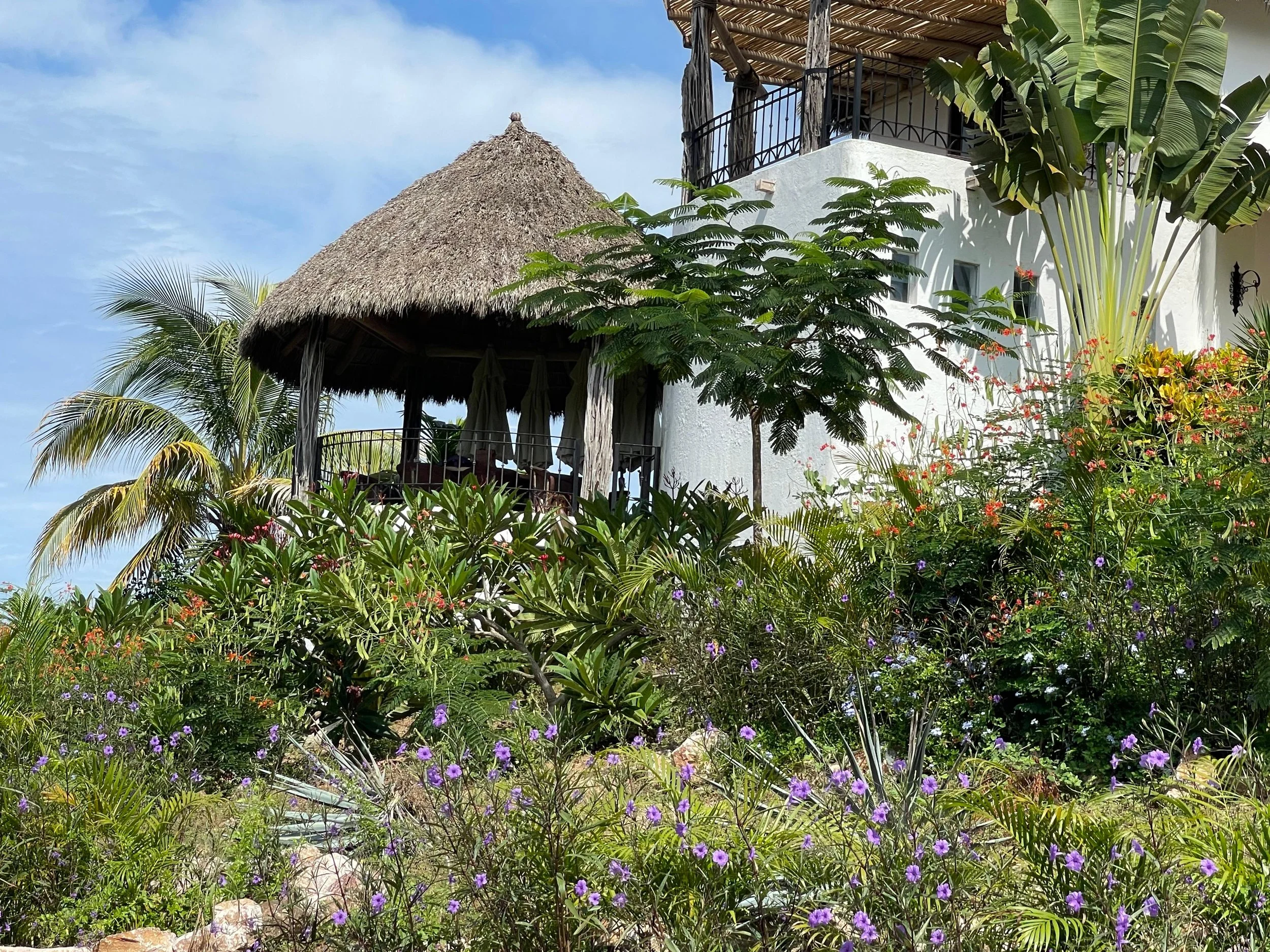 San Pancho retreat photo 2