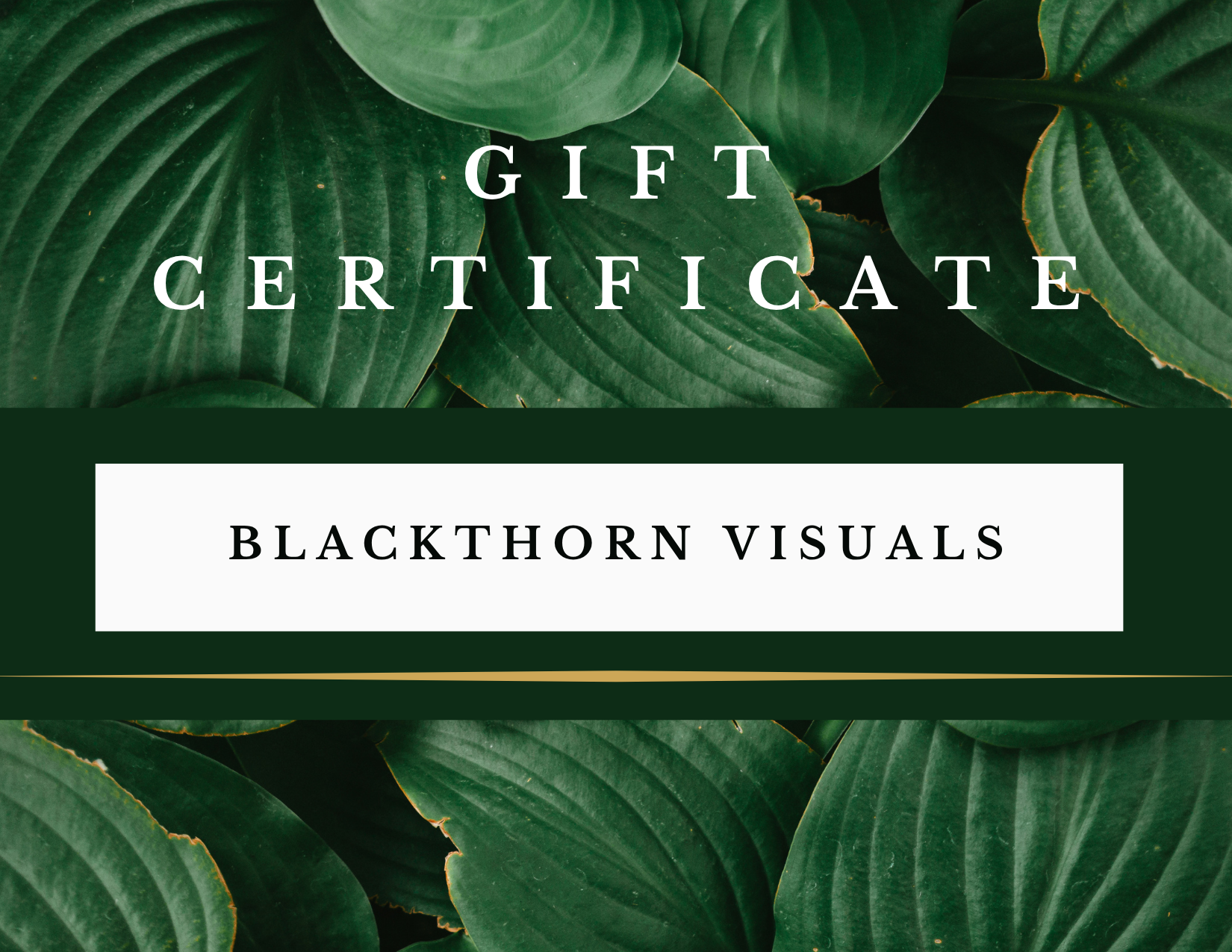 Gift certificate from Blackthorn Visuals with a background of large green leaves.