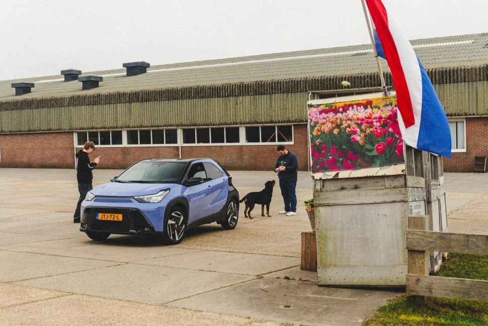 toyota_aygo_X_bloemen3.jpg