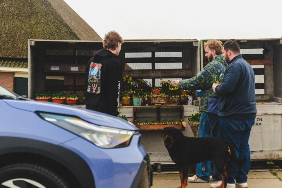 toyota_aygo_X_bloemen1.jpg