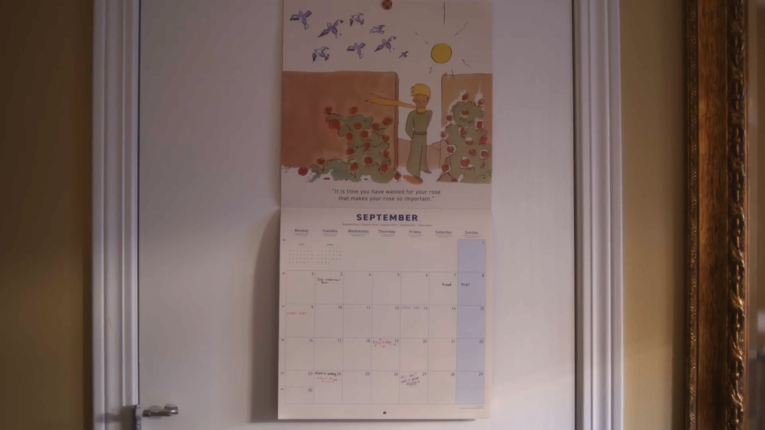 Screen Shot 2024-12-13 at 4.36.39 PM.png