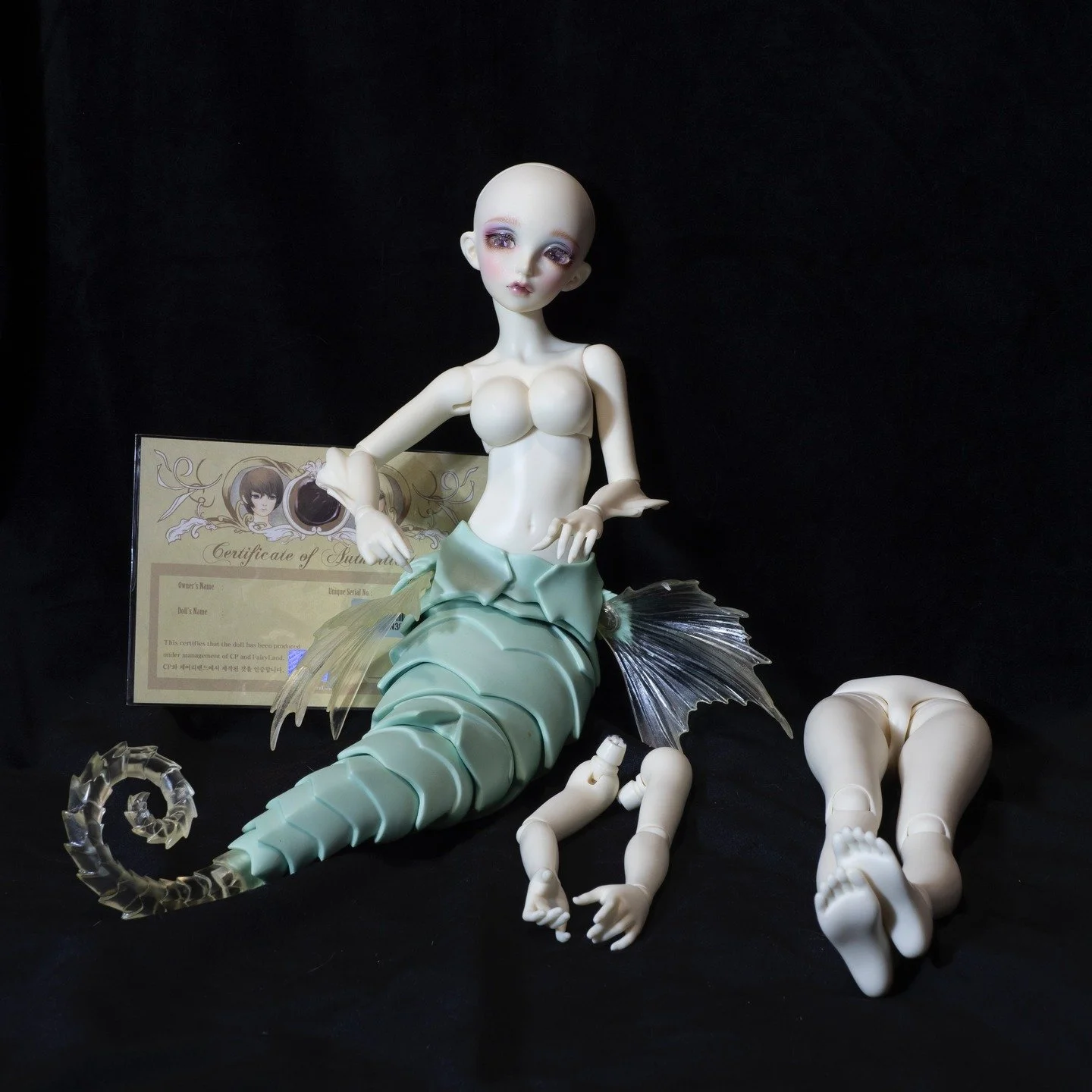I'm selling off a number of my company made dolls and have them listed on my website (check out my linktree or visit https://www.cirquedefantomes.com/companydollsales ). I've got a few listed now and will be adding more over time. please email me for