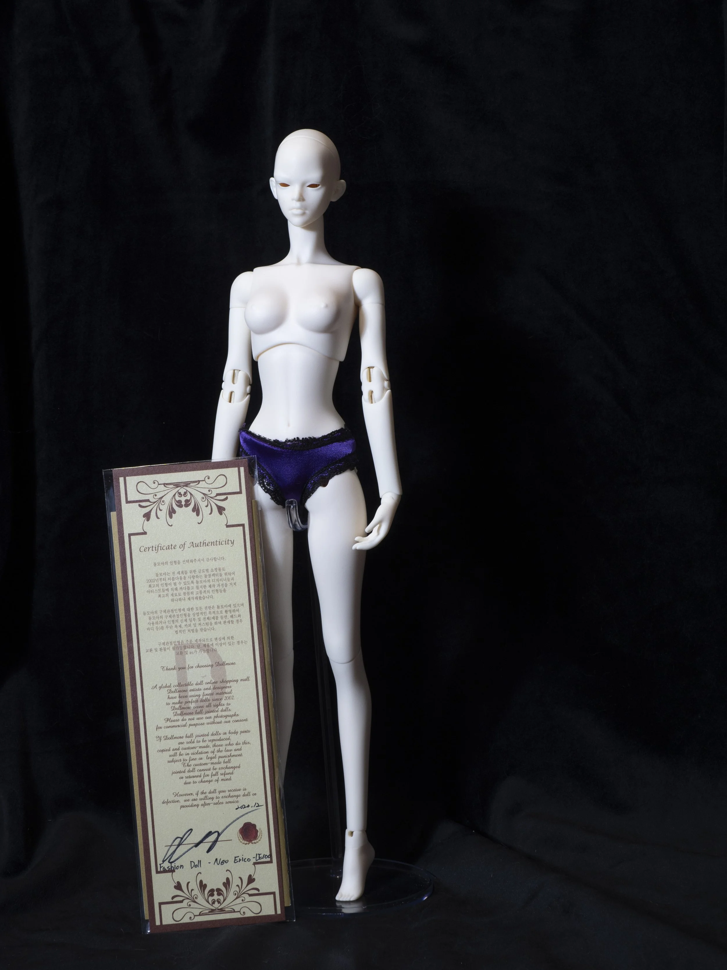 Dollmore Fashion Doll Eriko and COA - 125$