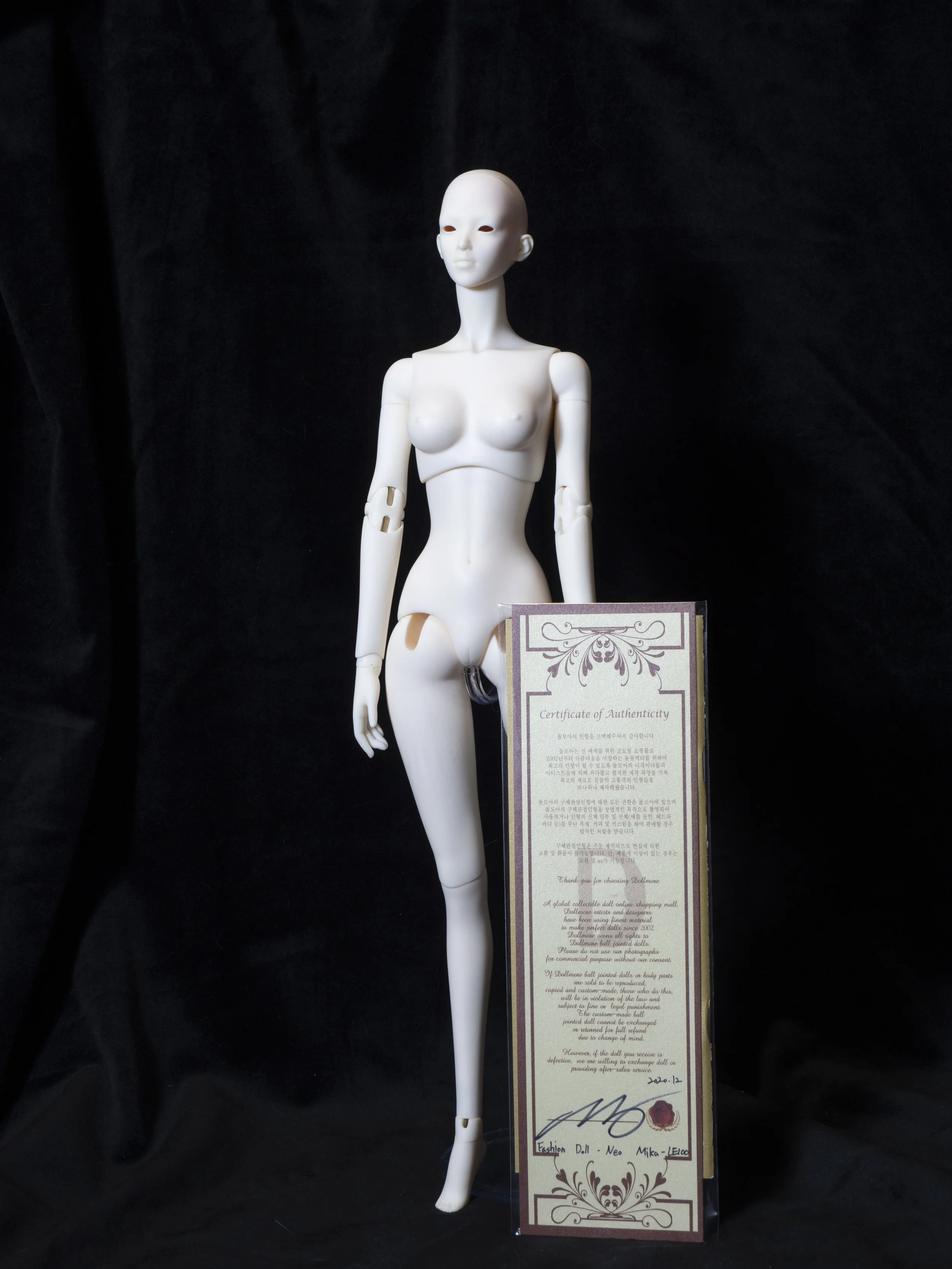 Dollmore Fashion Doll Mika (stained legs) and COA - 125$