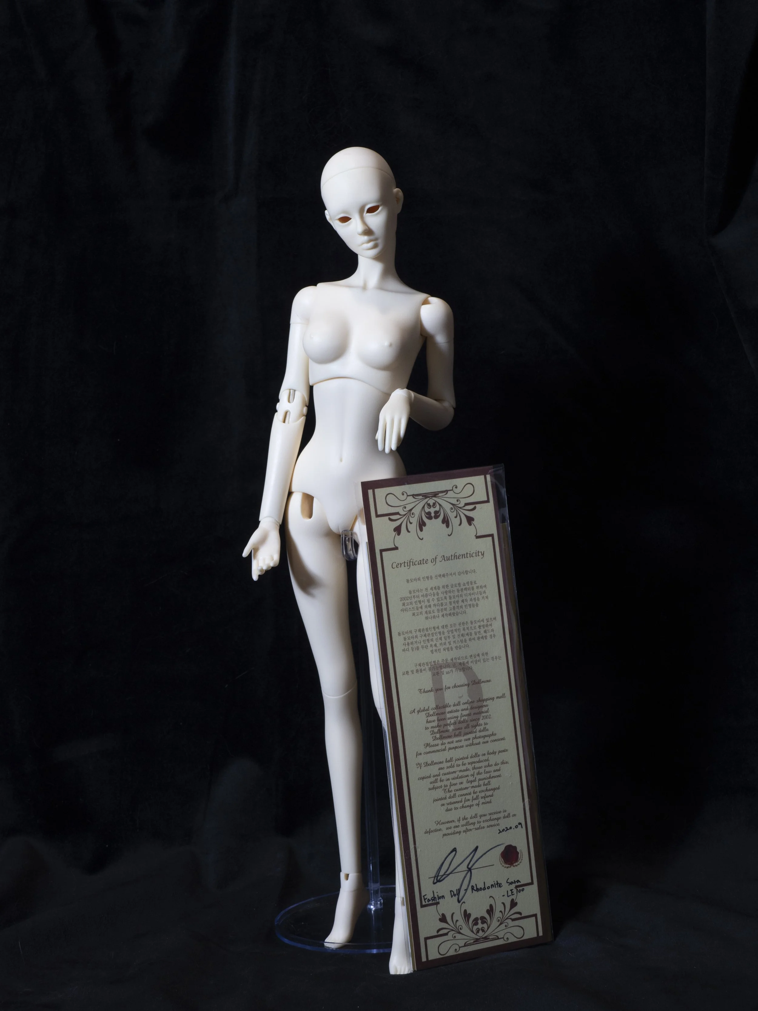 Dollmore Fashion Doll Sarah w/ COA - 125$