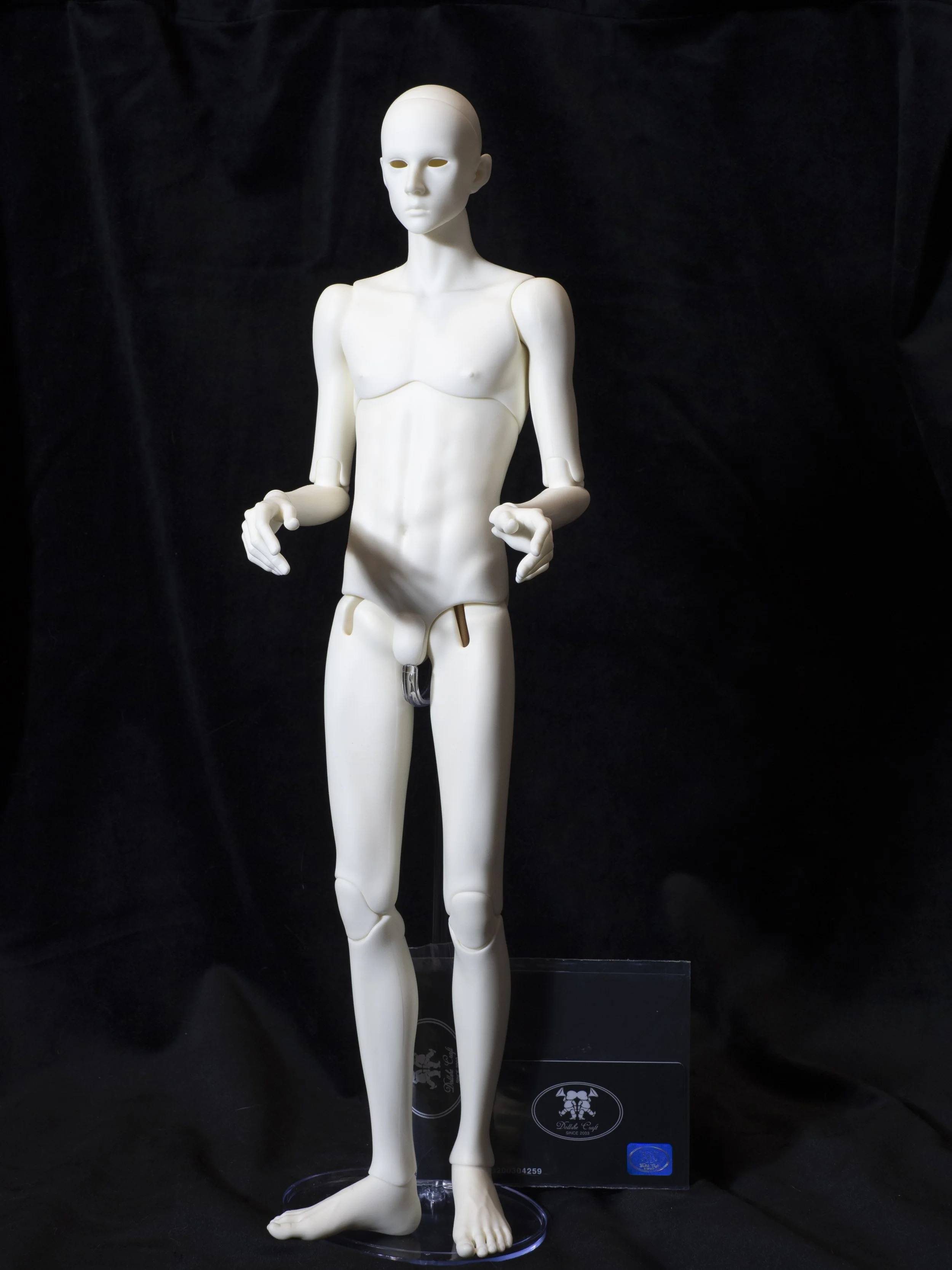 Dollshe 45cm Saint (missing extra parts) and COA - 375$