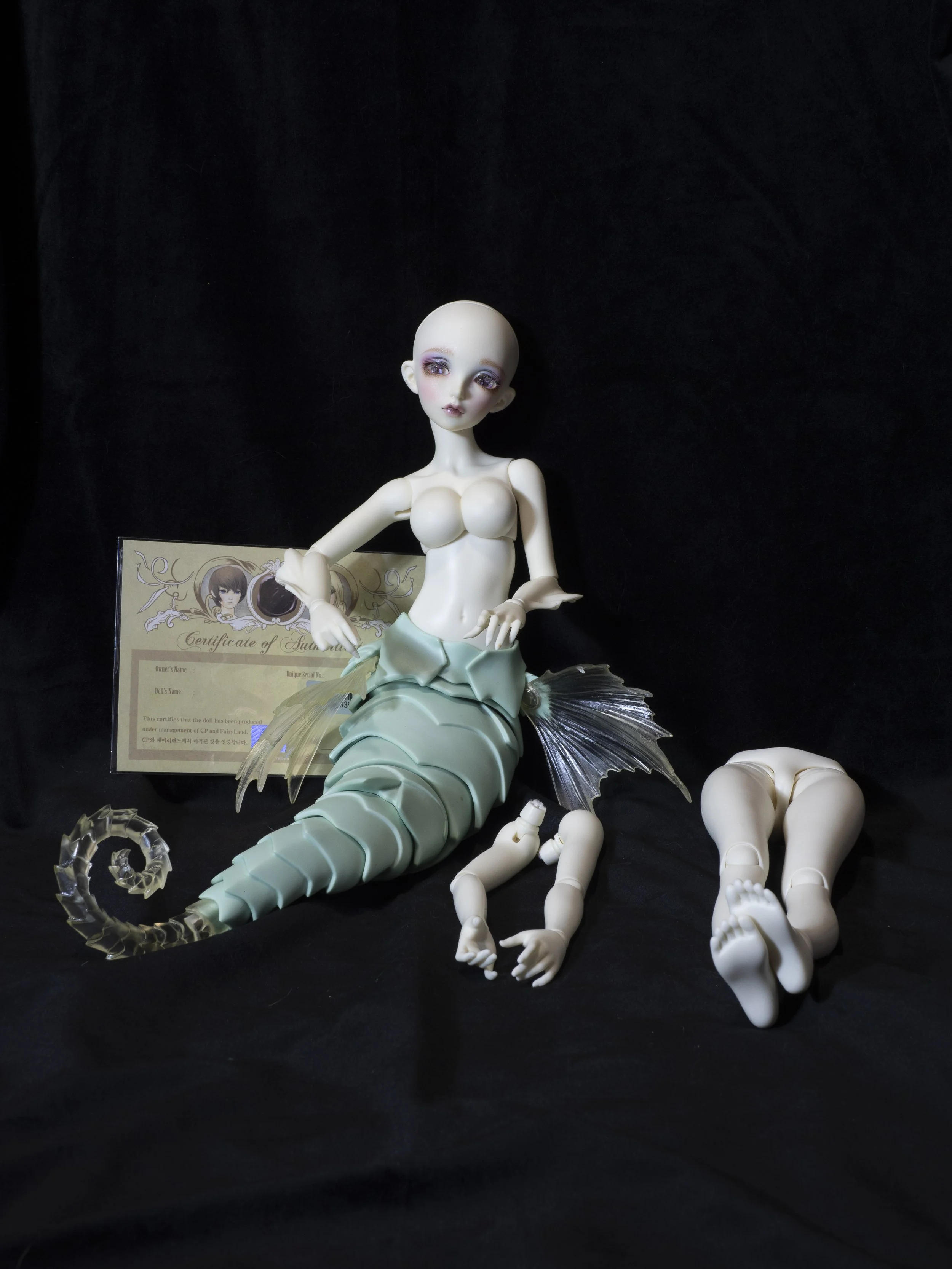 MNF Sia (yellowed BW) w/ human parts and COA - 500$