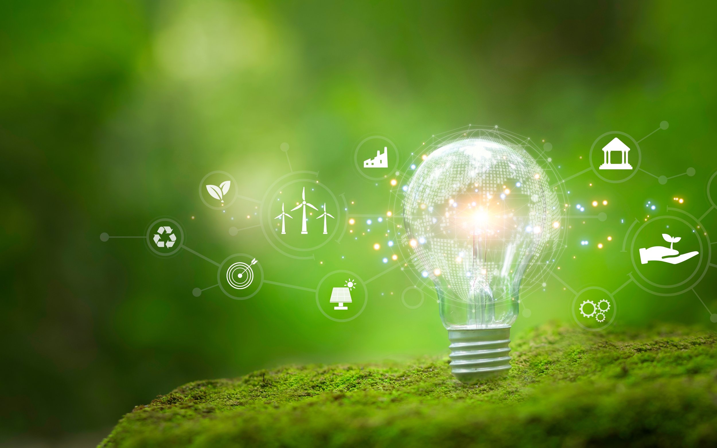 Building Resilience Through Sustainability: Why ESG Matters in Recovery.