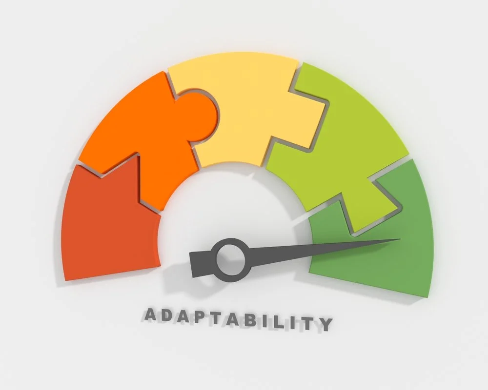 From Dividends to Salaries: How Directors Are Adapting to Higher Personal Exposure