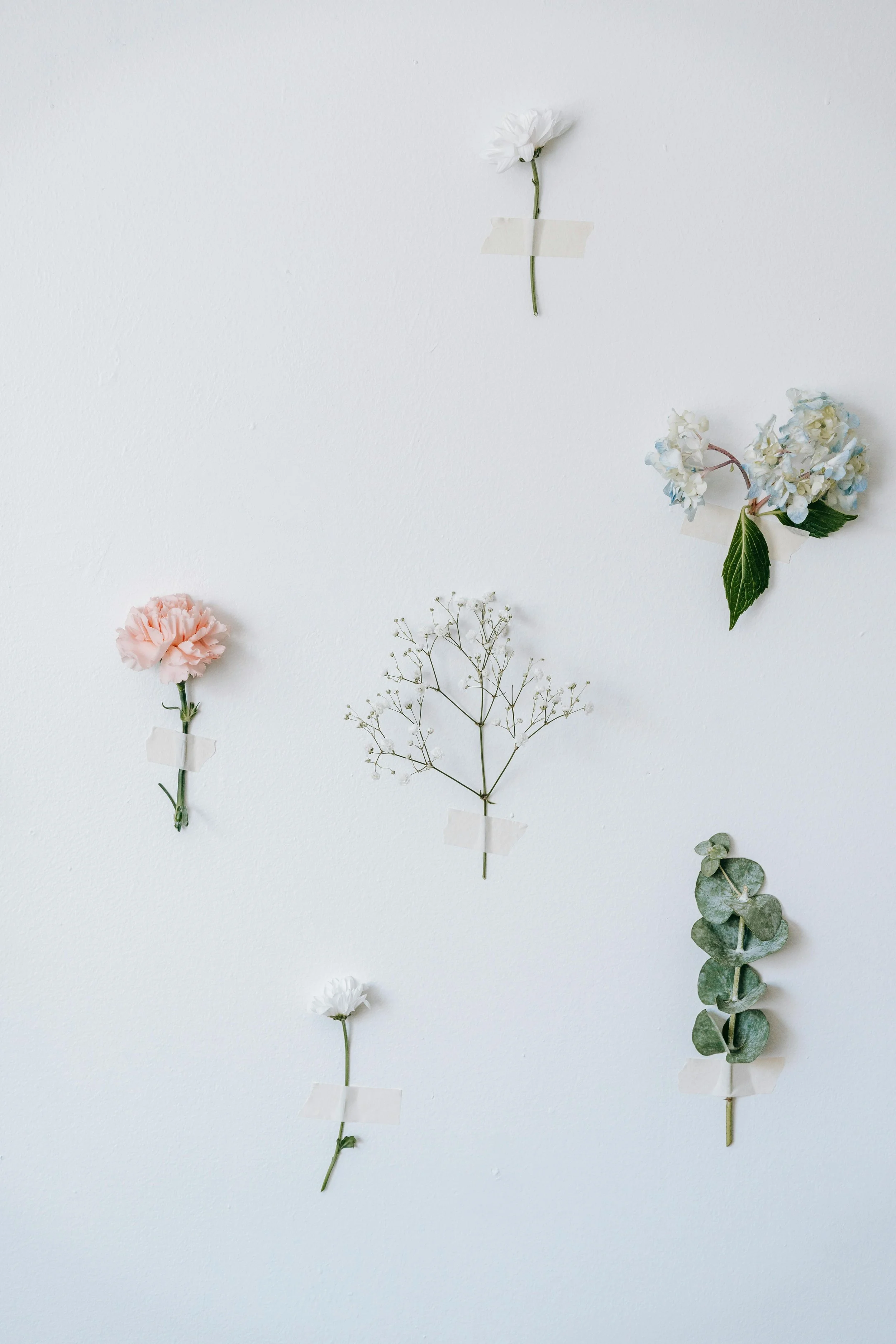 Pressed wildflowers arranged on a wall, calming birth decor for Birthing by Nature