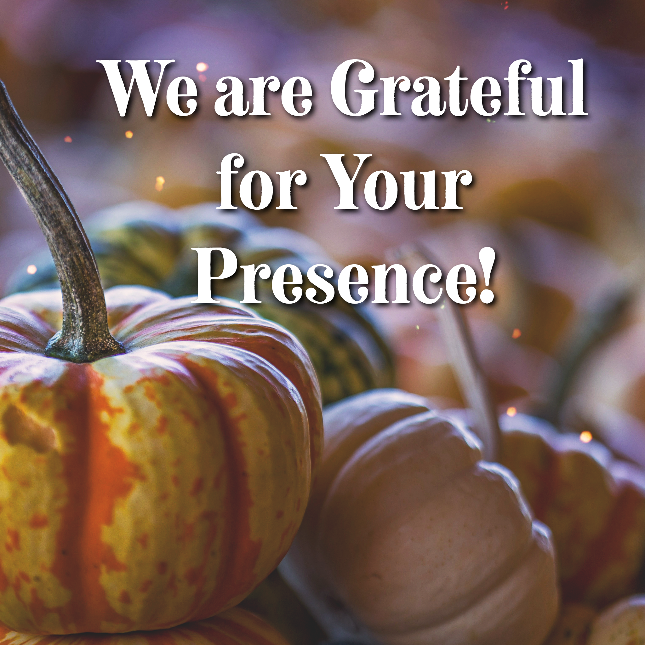Happy Thanksgiving!