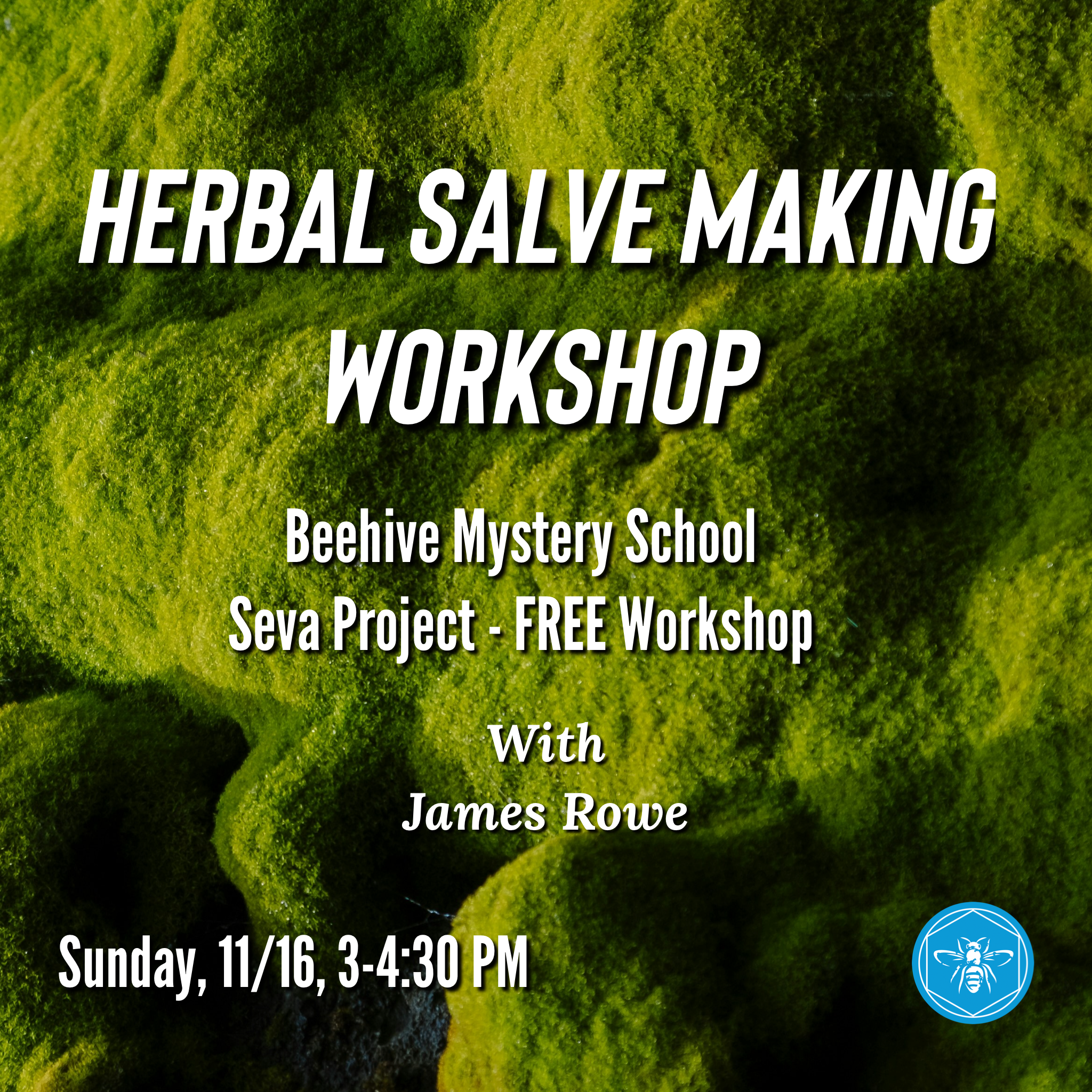 Herbal Salve Making Workshop