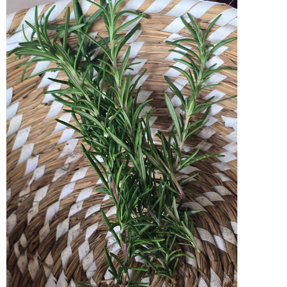 Fresh herbs - Rosemary - 1 oz.